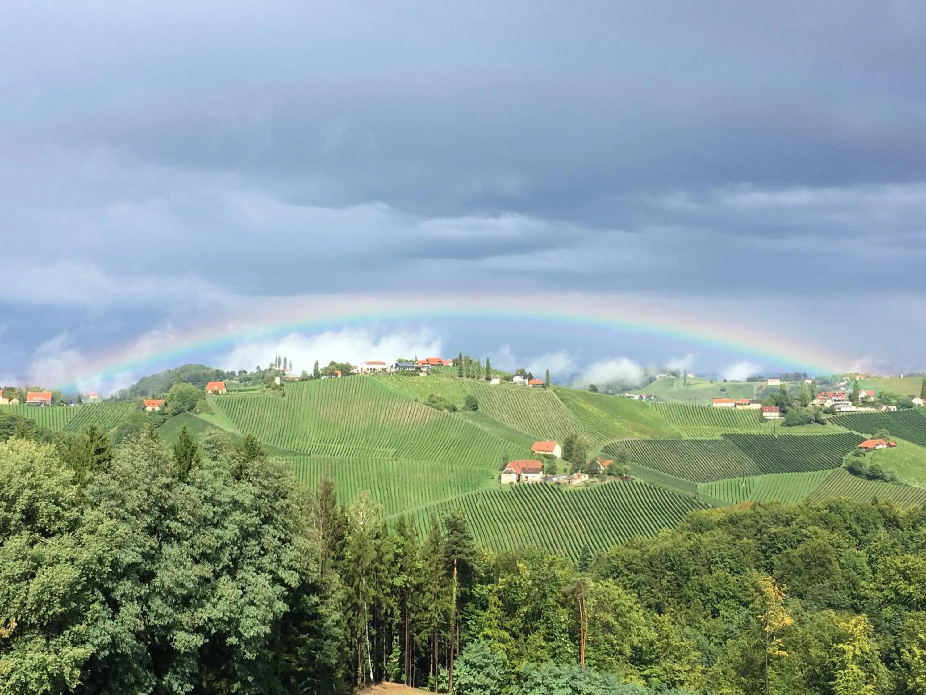 Natural landscape in Weingut Dreisiebner Stammhaus