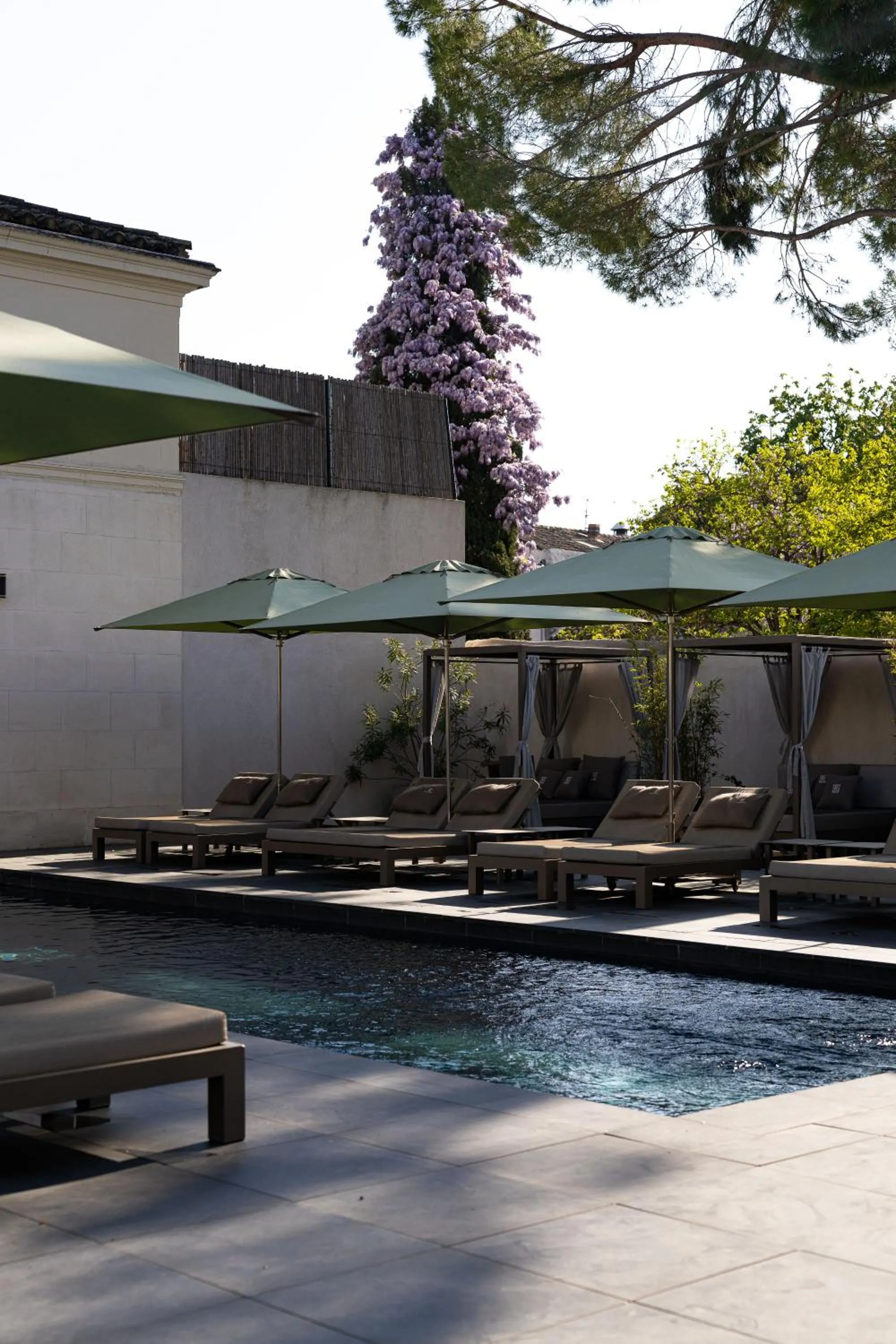 Hôtel Le Saint Remy & Spa