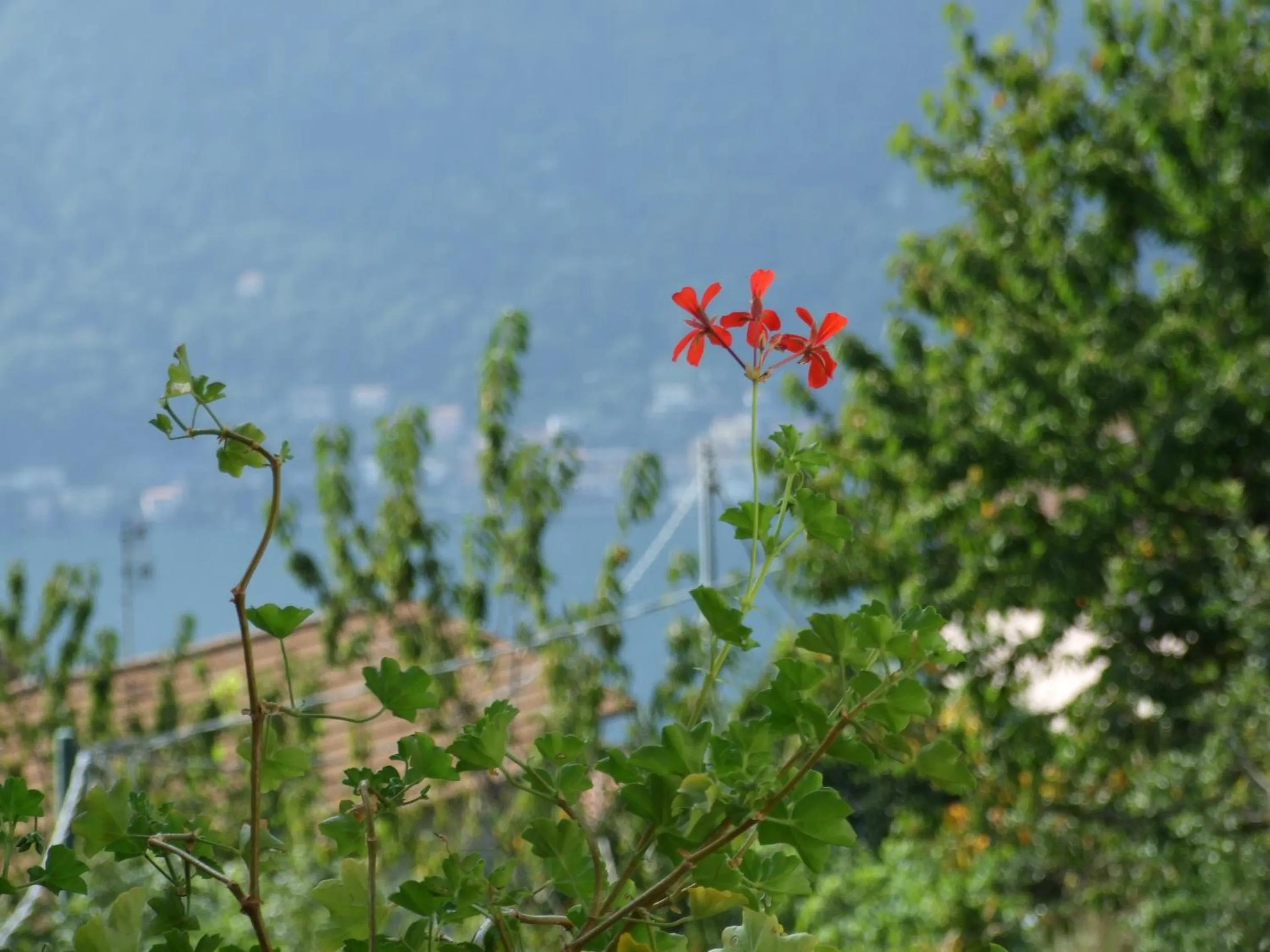 Facade/entrance in La Ruota del Mulino