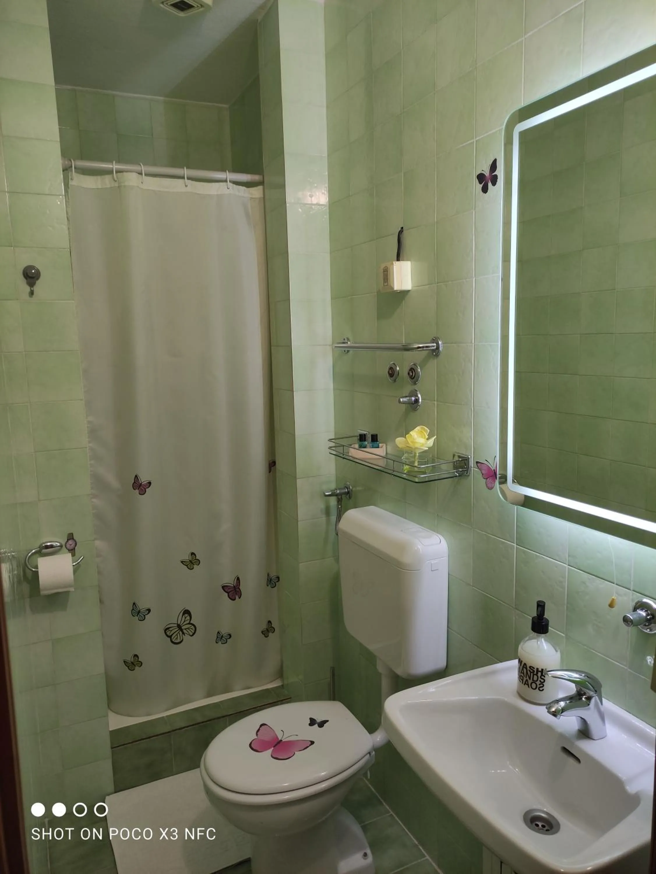 Shower in Villa Radić