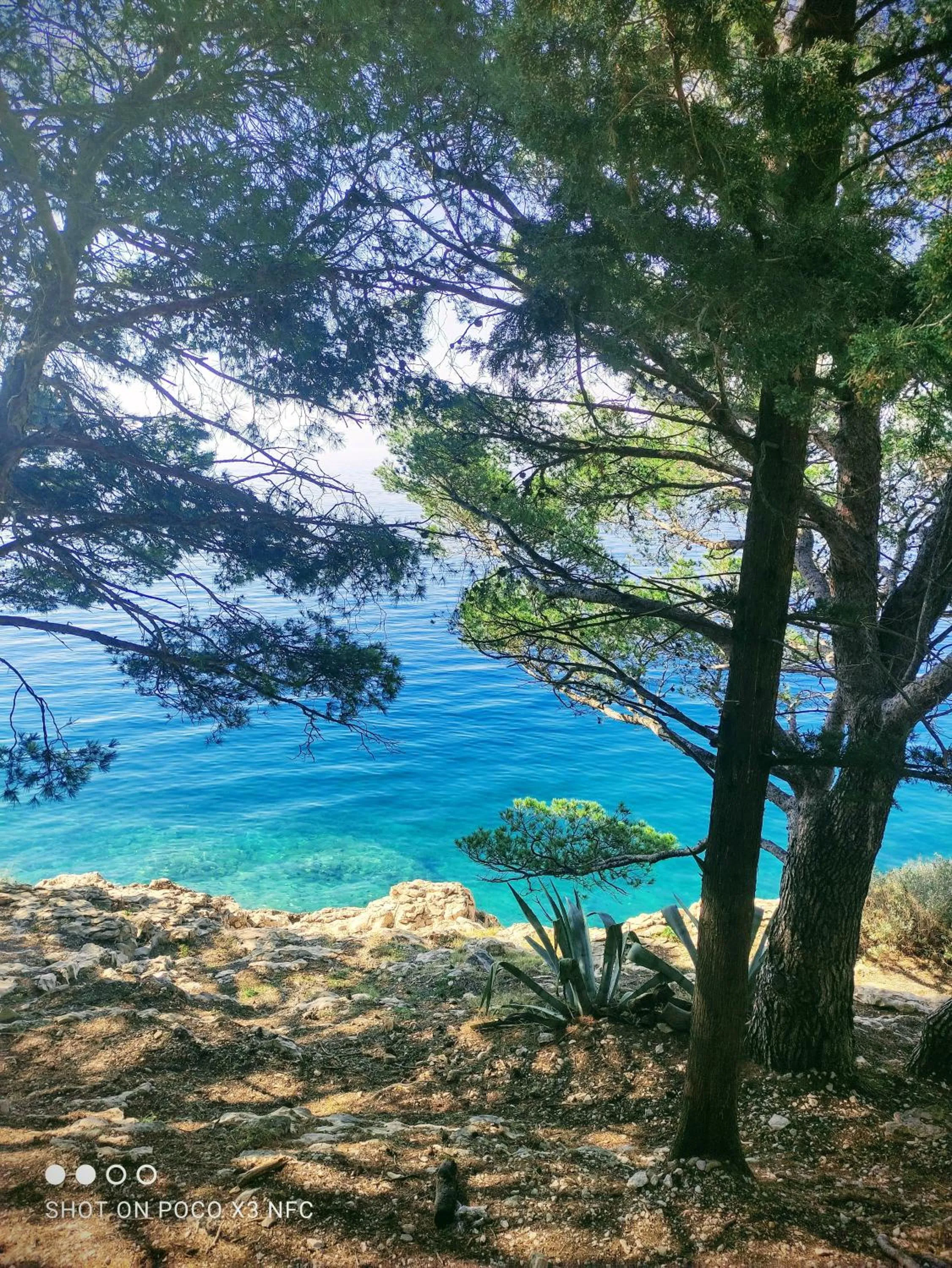 Beach in Villa Radić