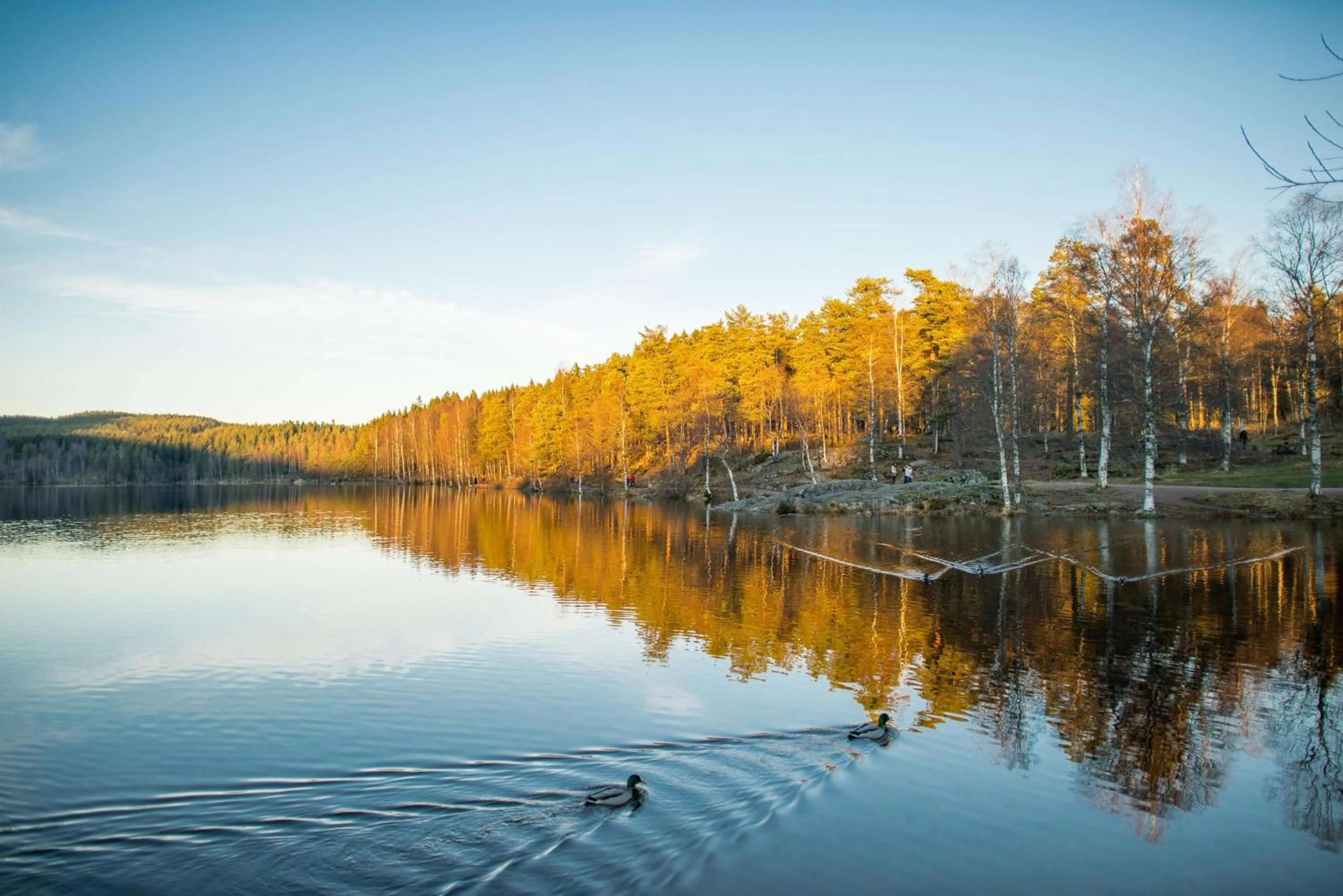 Property building in Olympiatoppen Sportshotel - Scandic Partner