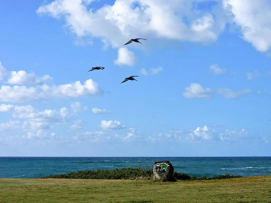 Natural landscape in Hacienda Bajamar