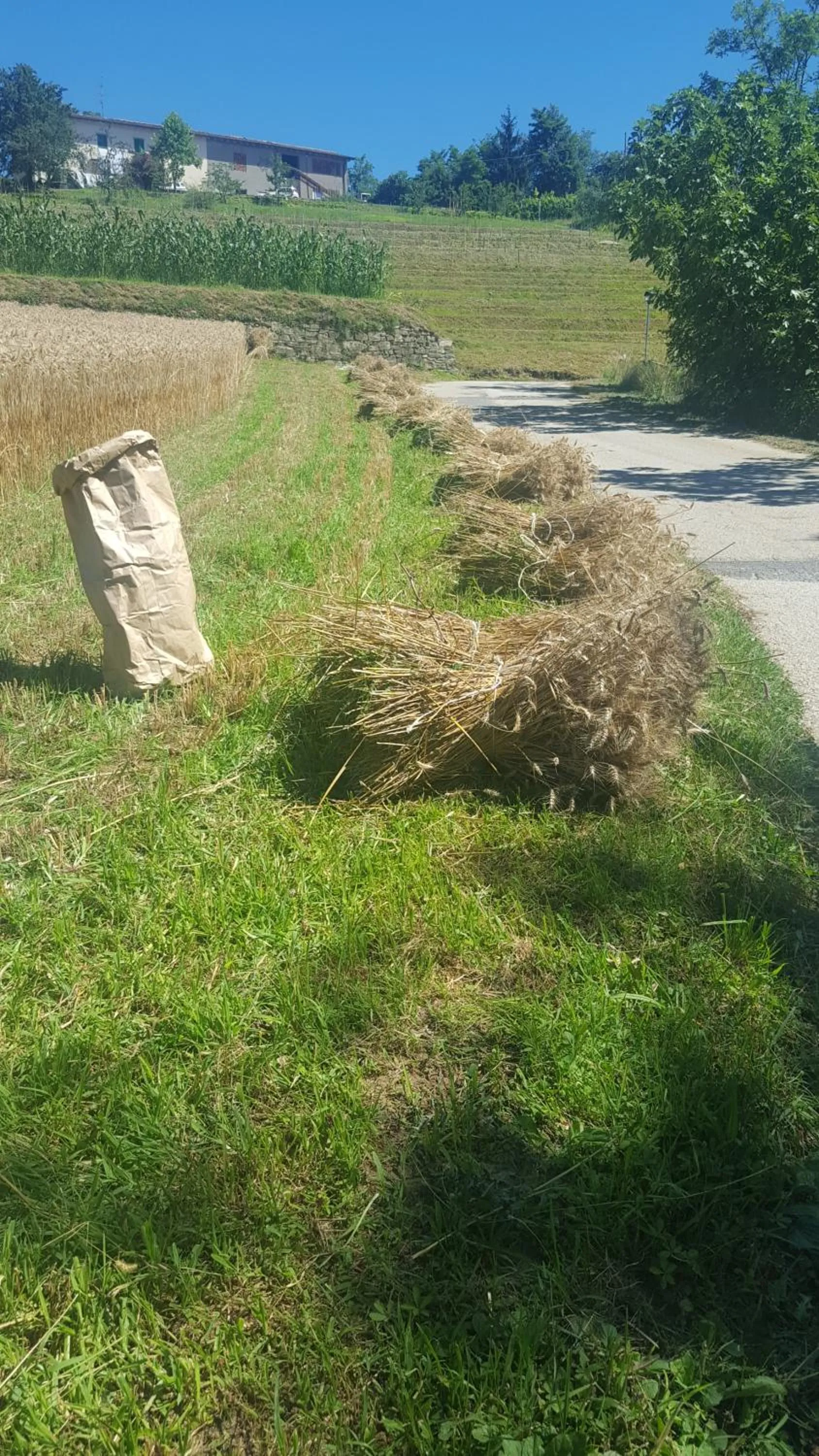 Day in Agriturismo Marco