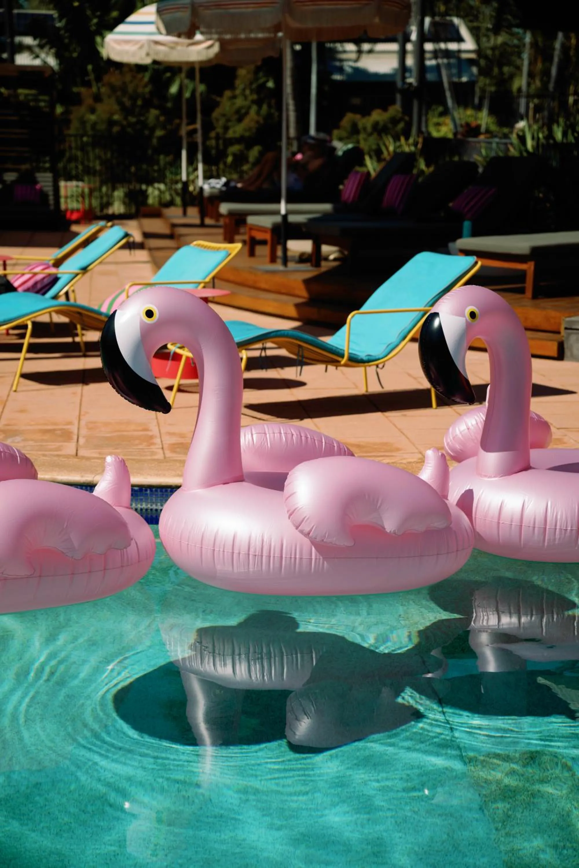 Swimming pool in The Continental Hotel