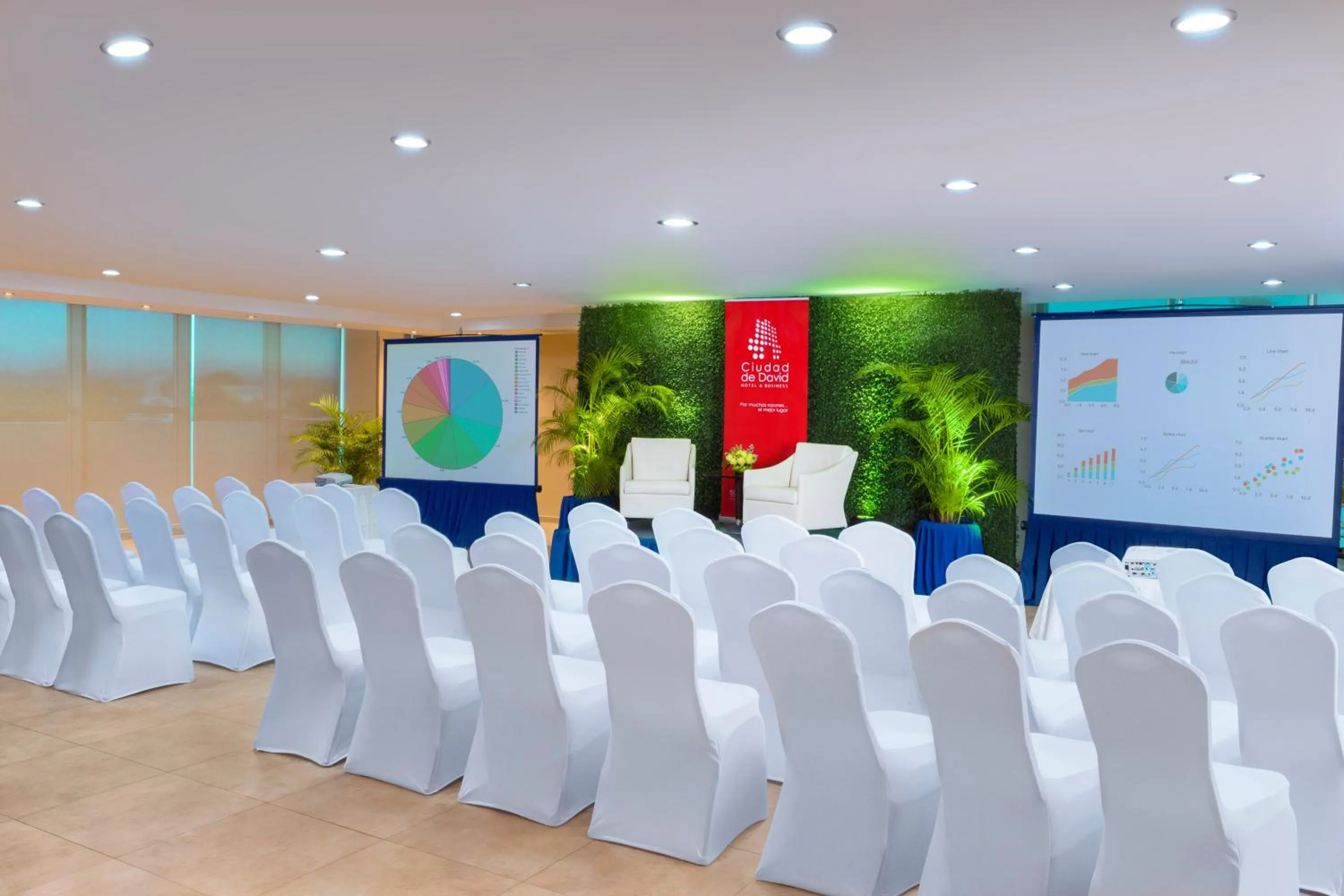 Meeting/conference room in Hotel Ciudad de David