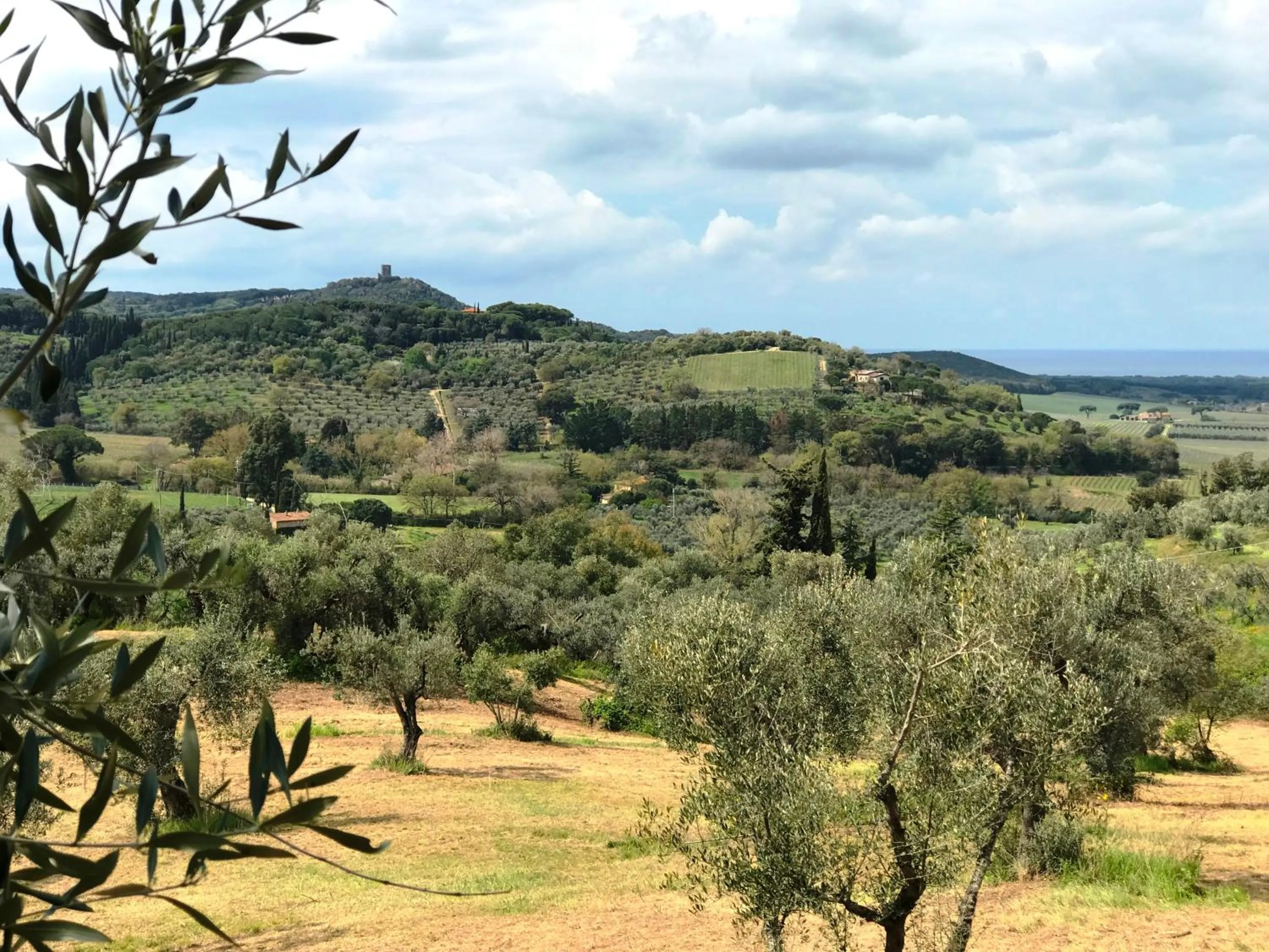Garden view in Relais dei Molini - Villa dei Molini