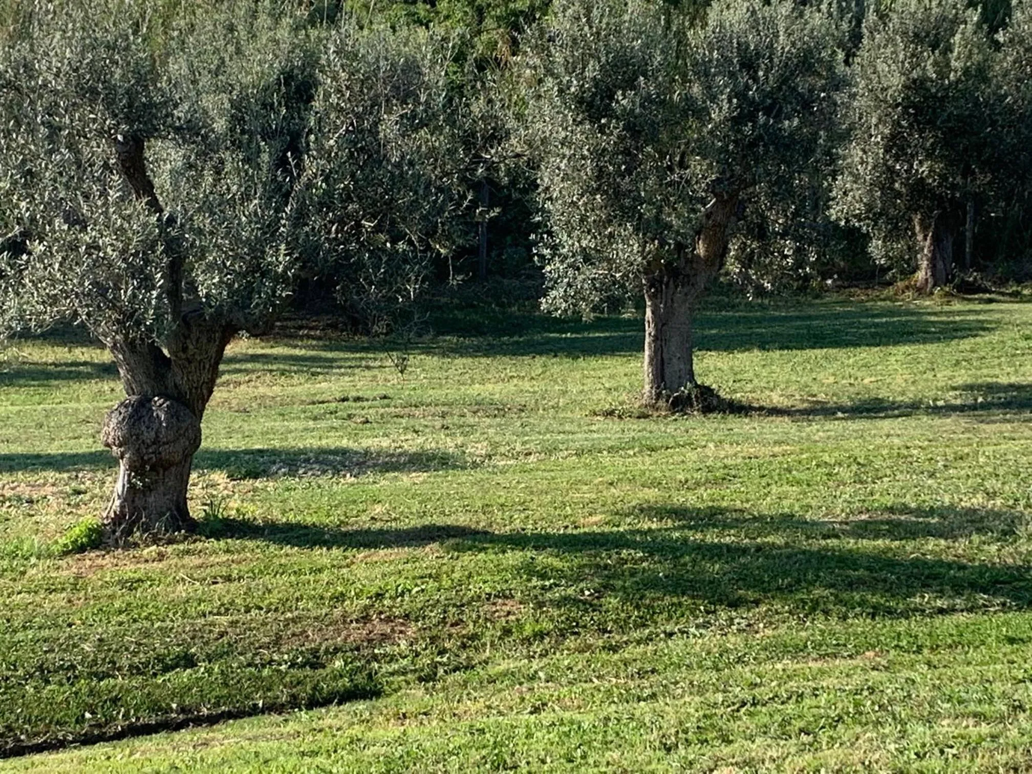 Relais dei Molini - Villa dei Molini