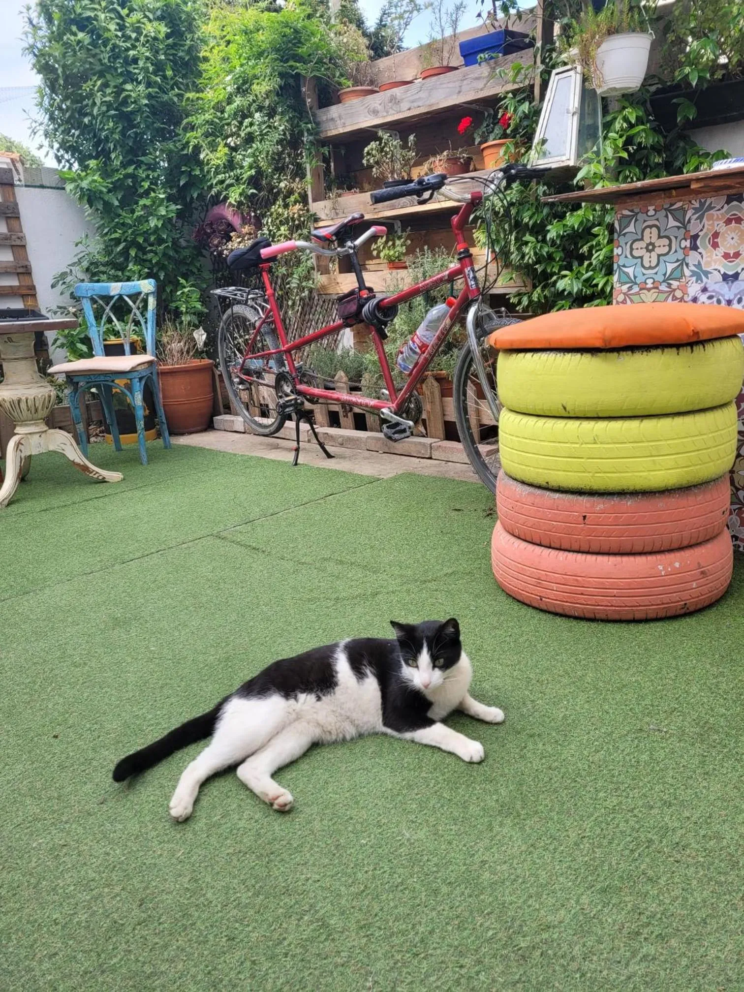 Patio in Can Cocollona