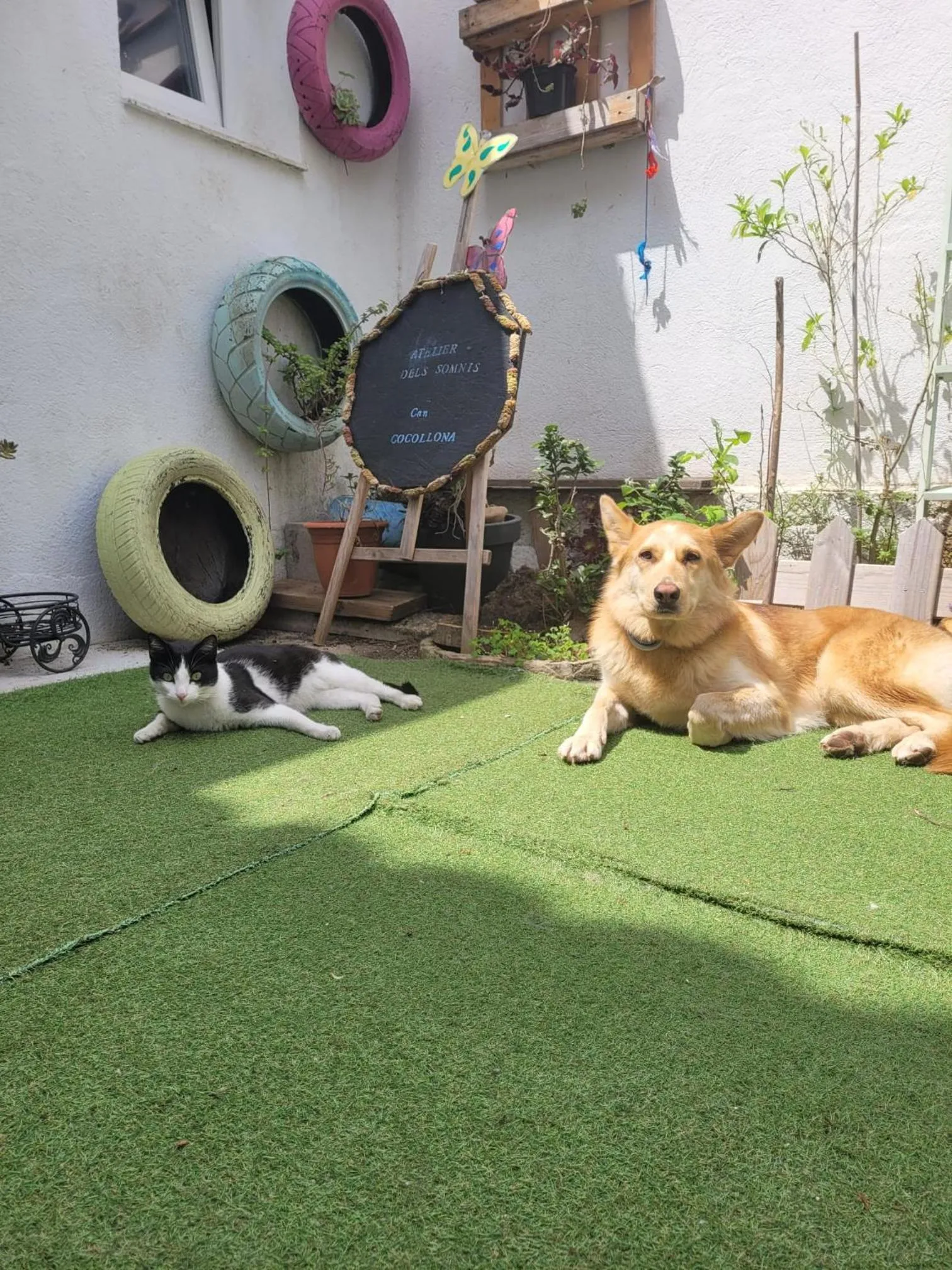 Patio in Can Cocollona