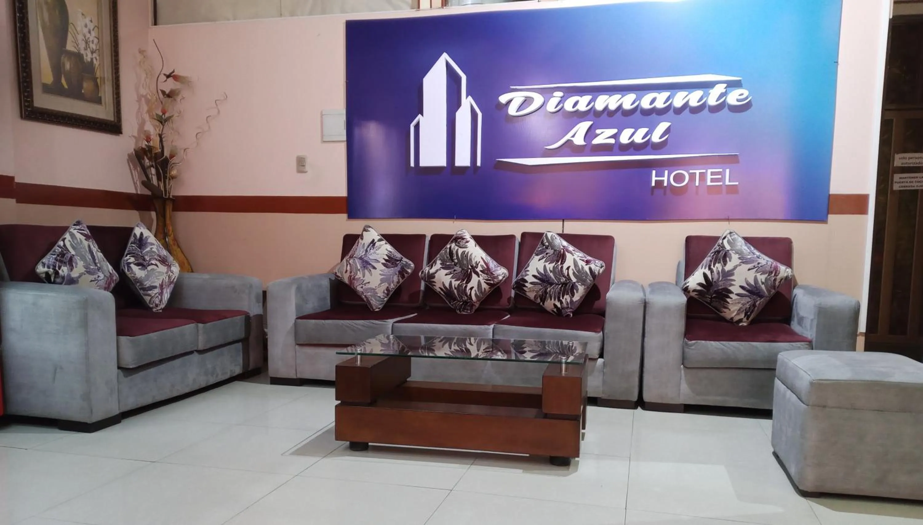Living room in Hotel Diamante Azul