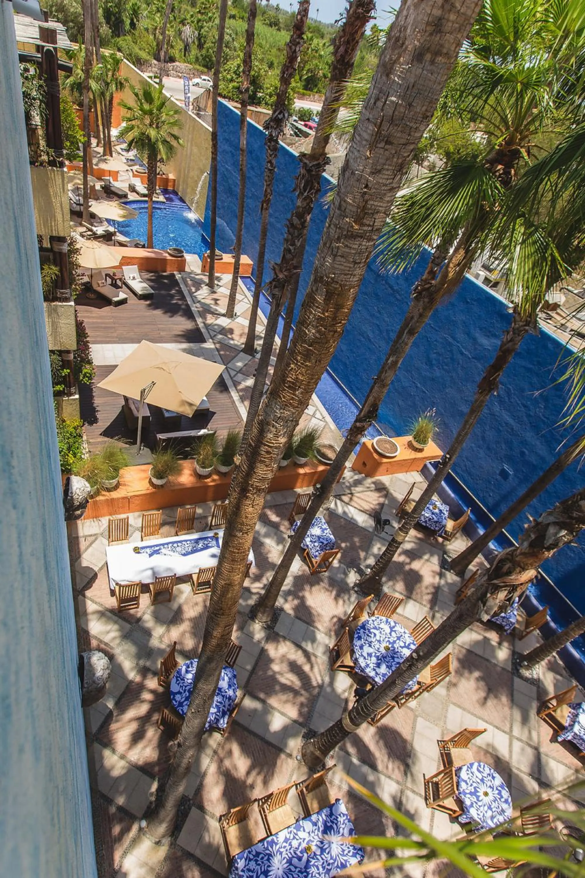 Garden in Casa Natalia Boutique Hotel Adults Only