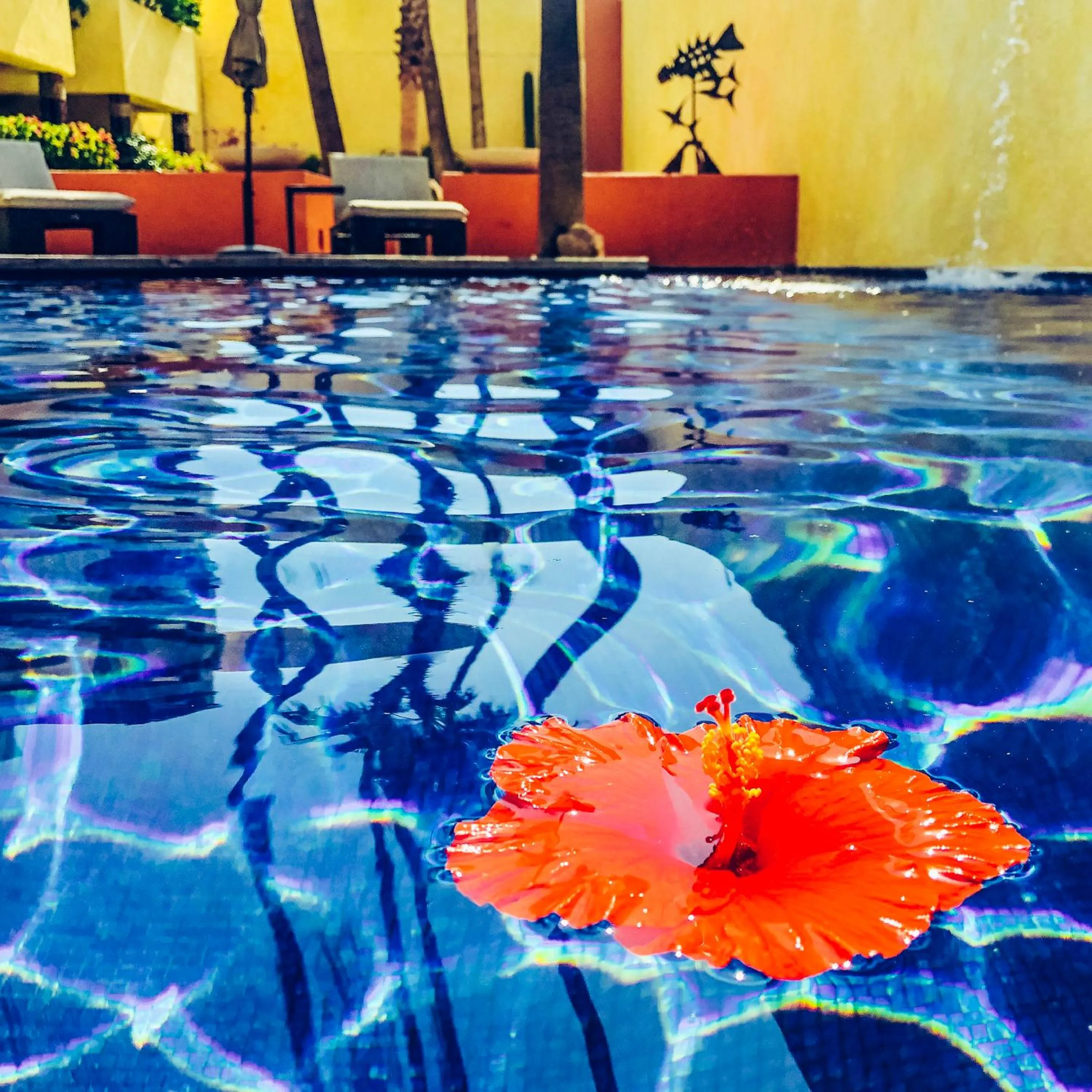 Swimming pool in Casa Natalia Boutique Hotel Adults Only