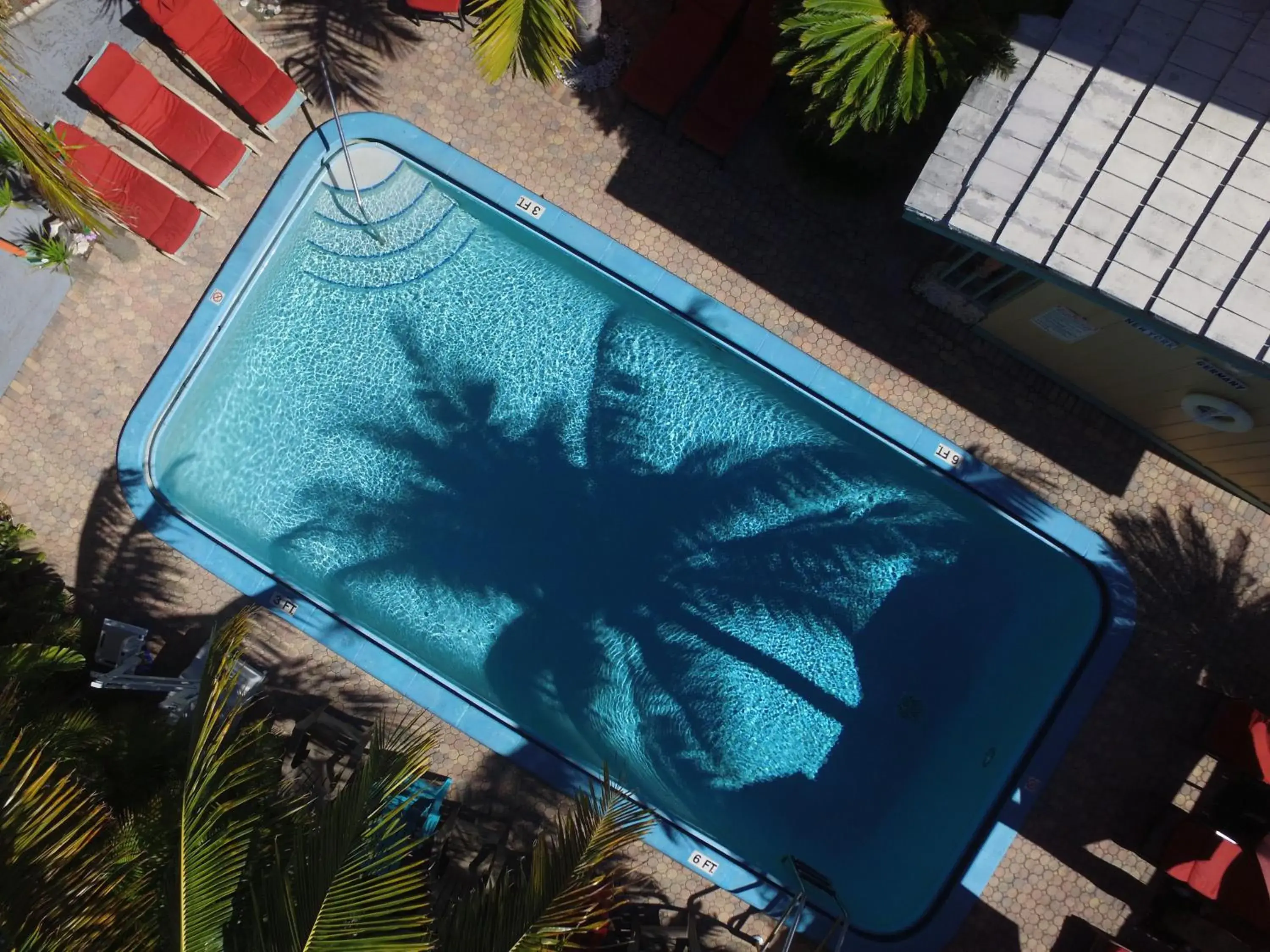 Swimming pool in Best Florida Resort Swimming pool in Best Florida Resort