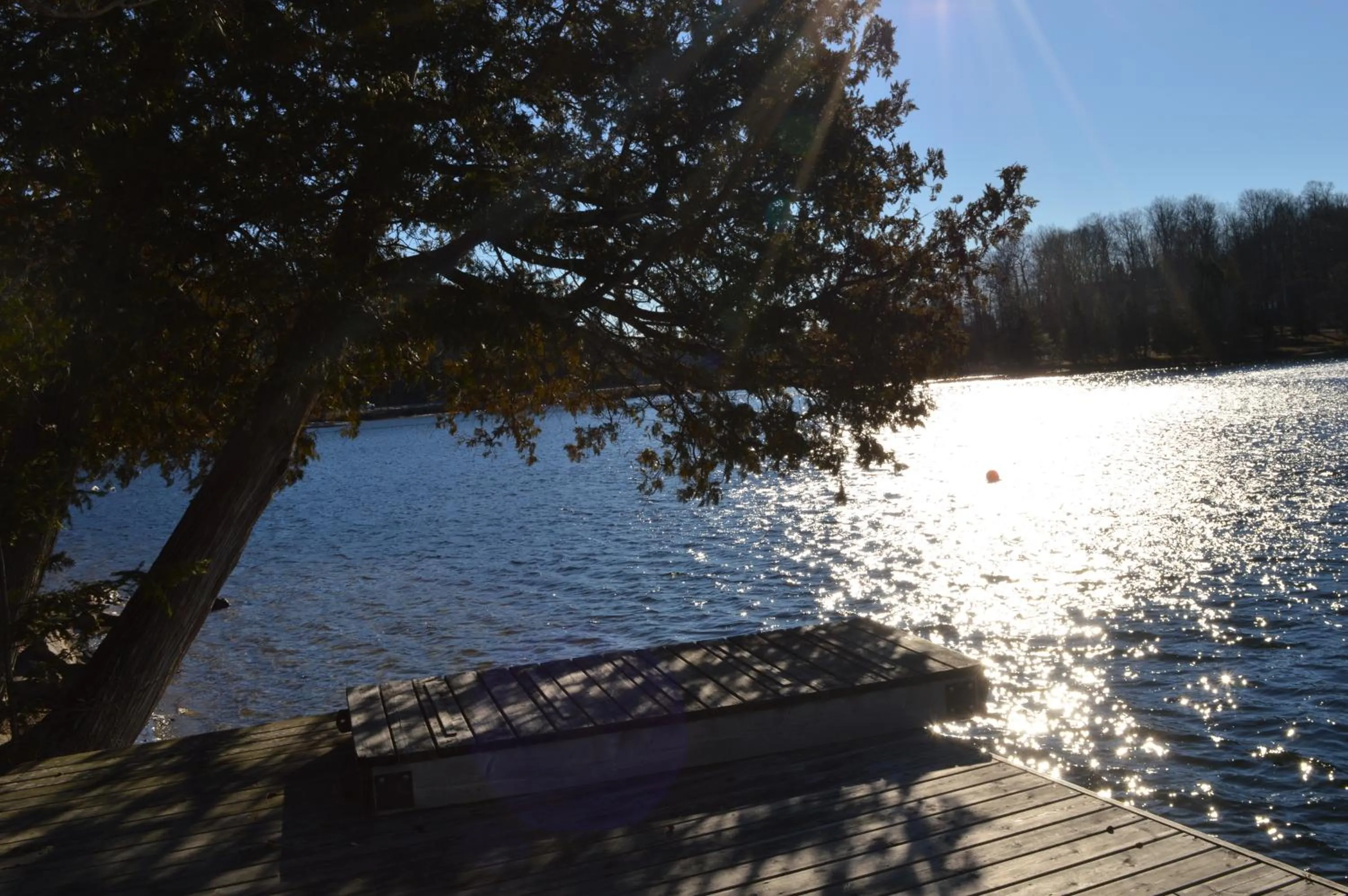 Day in Heather Lodge