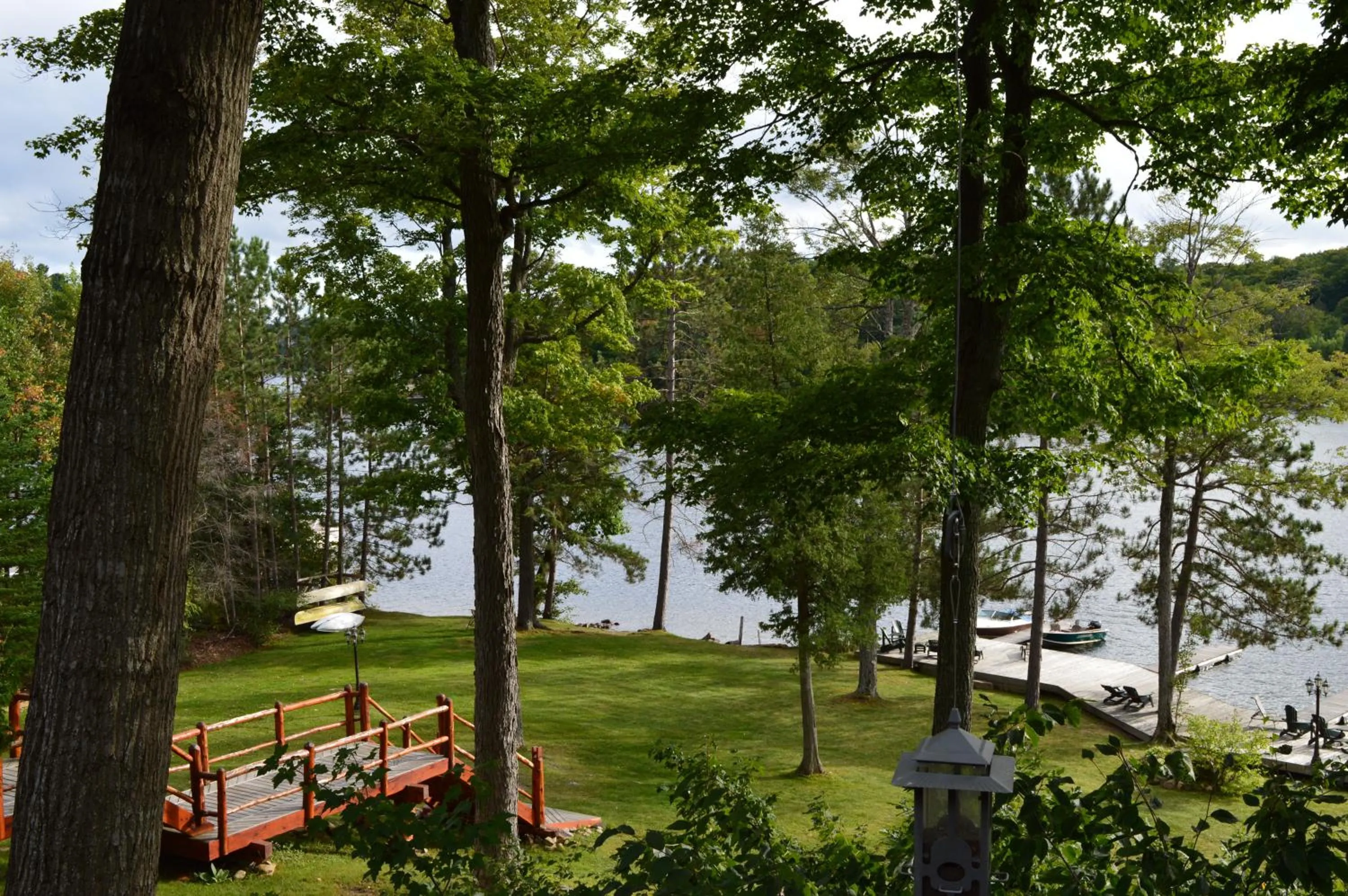 Natural landscape in Heather Lodge