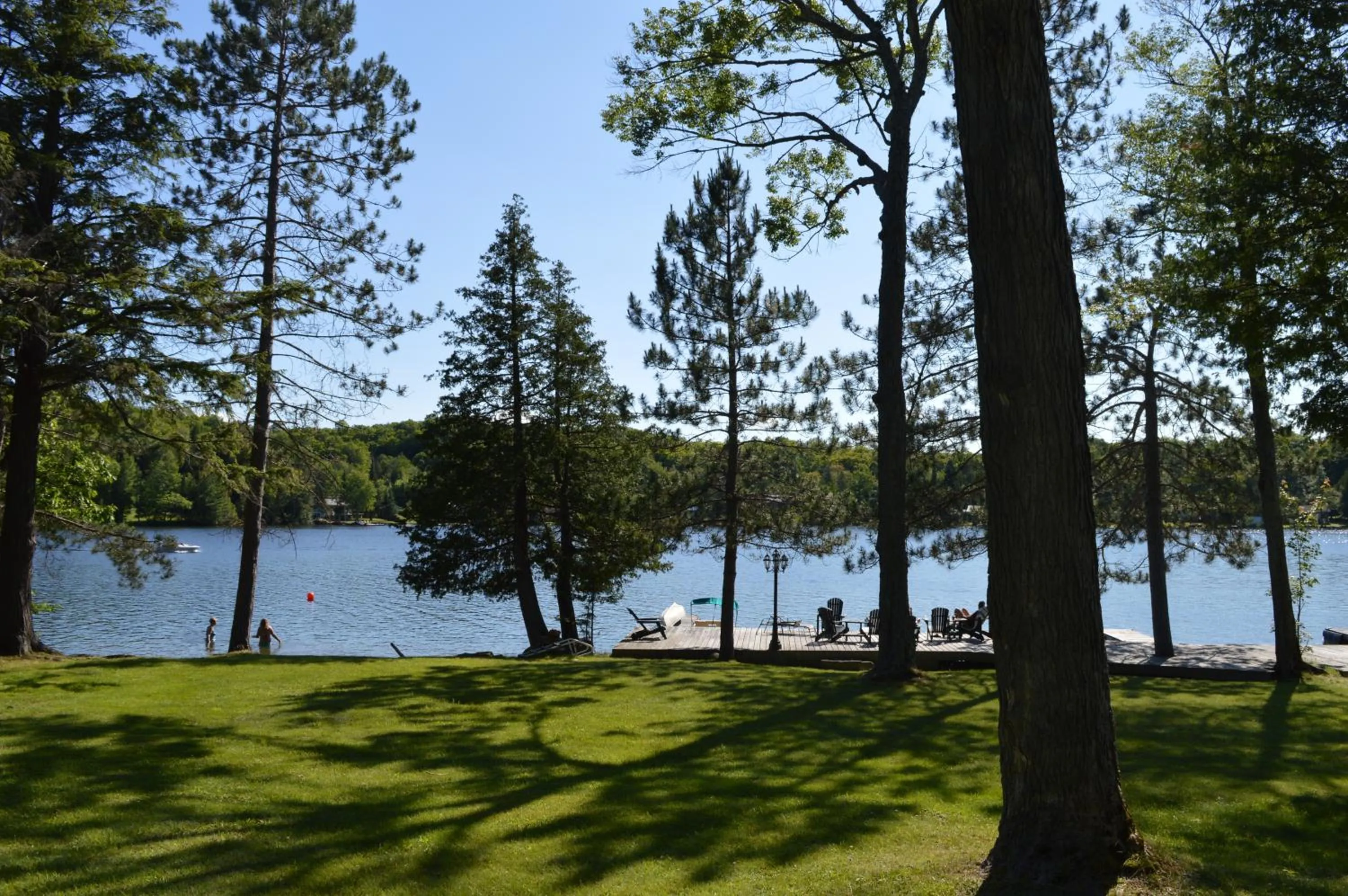 Natural landscape in Heather Lodge