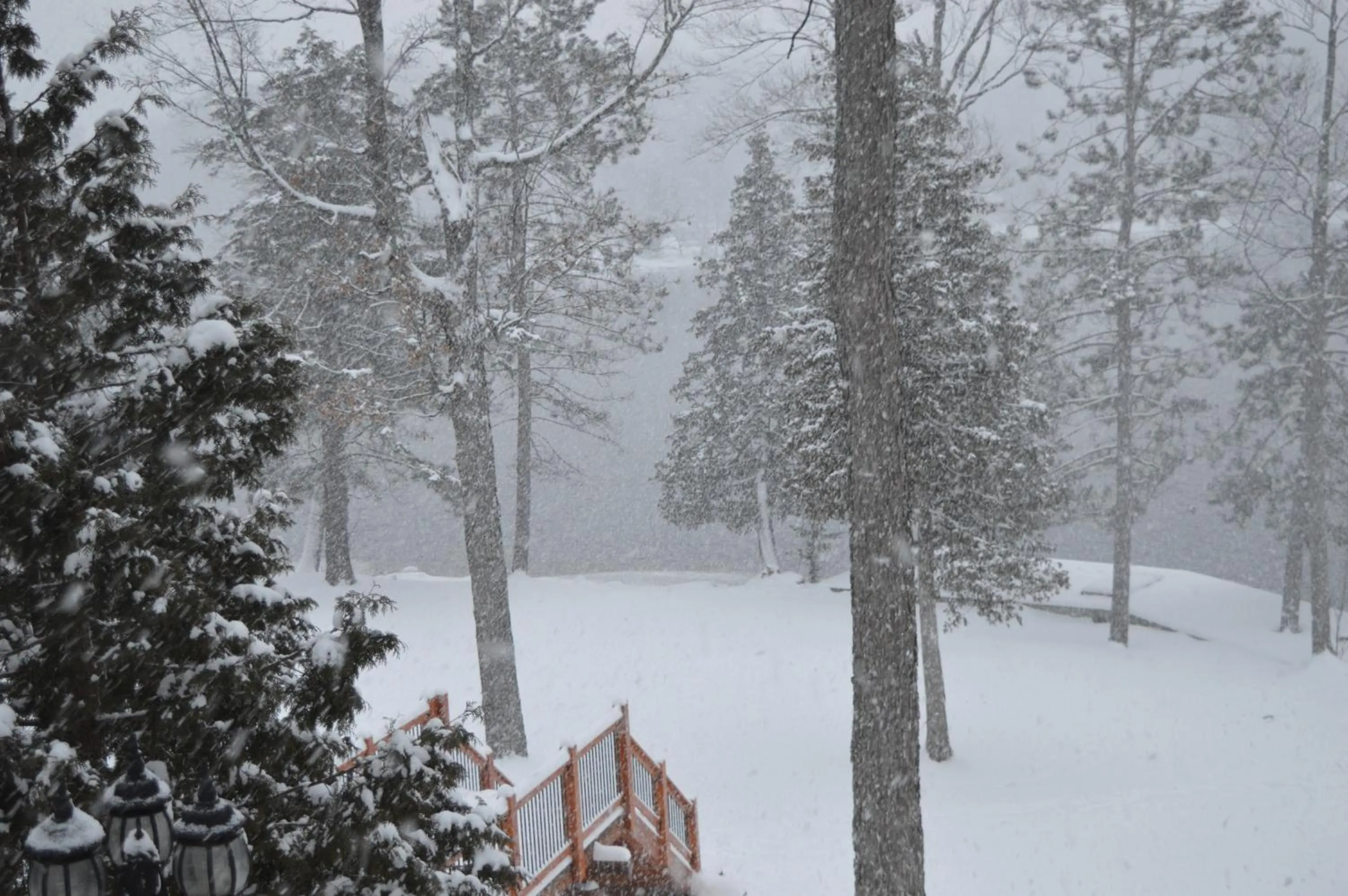 Winter in Heather Lodge