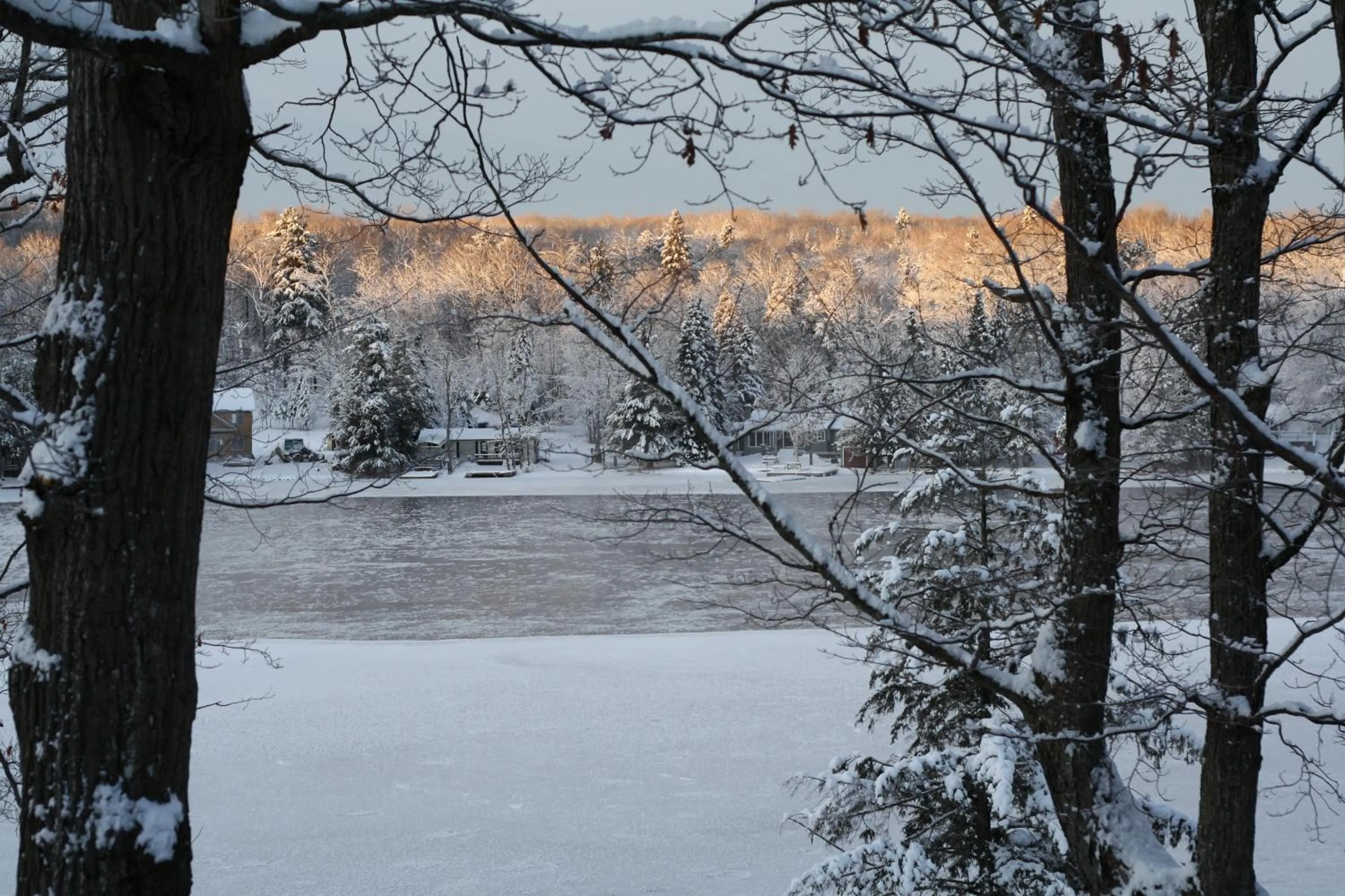 Natural landscape in Heather Lodge