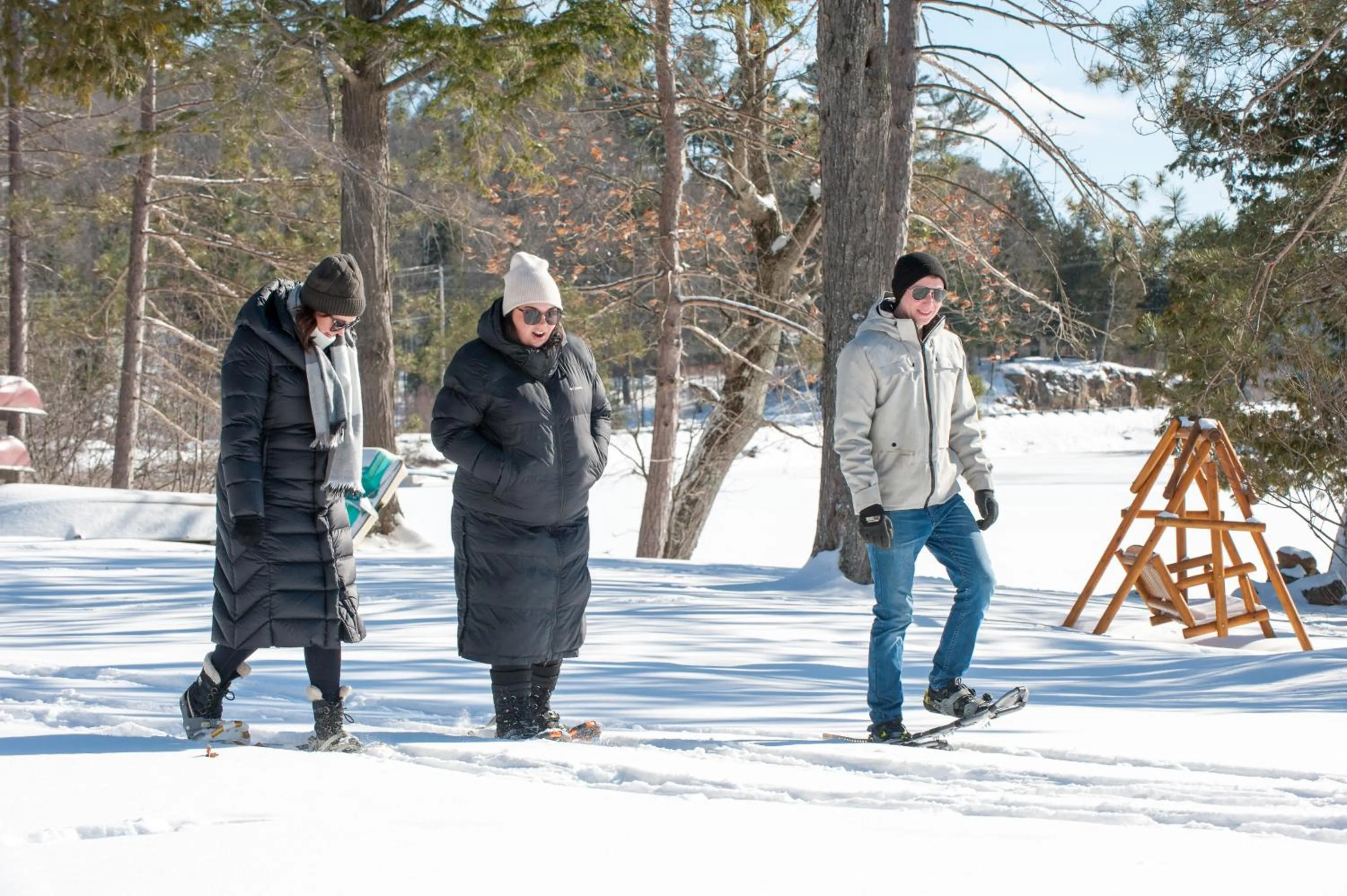 Activities in Heather Lodge