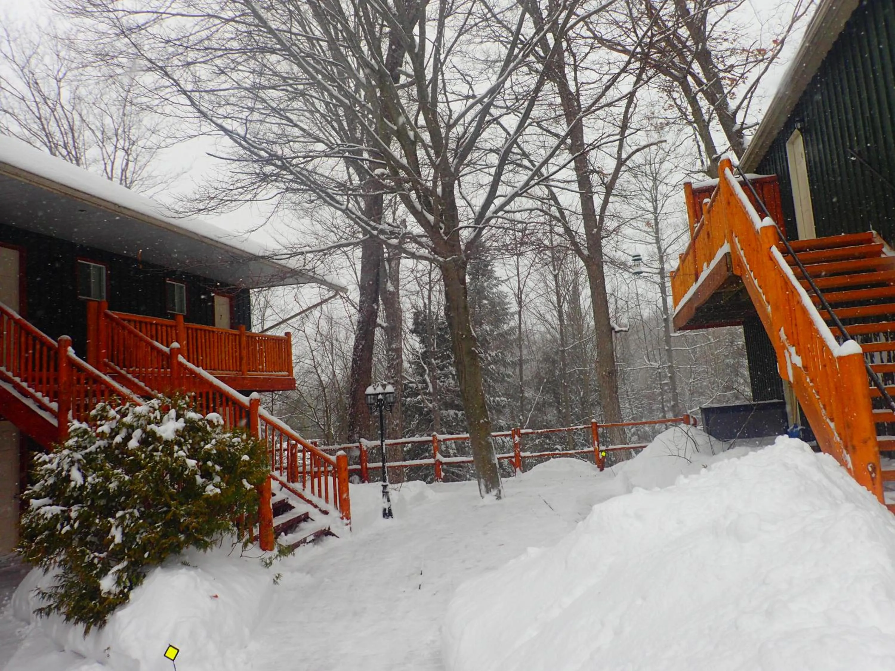 Day in Heather Lodge