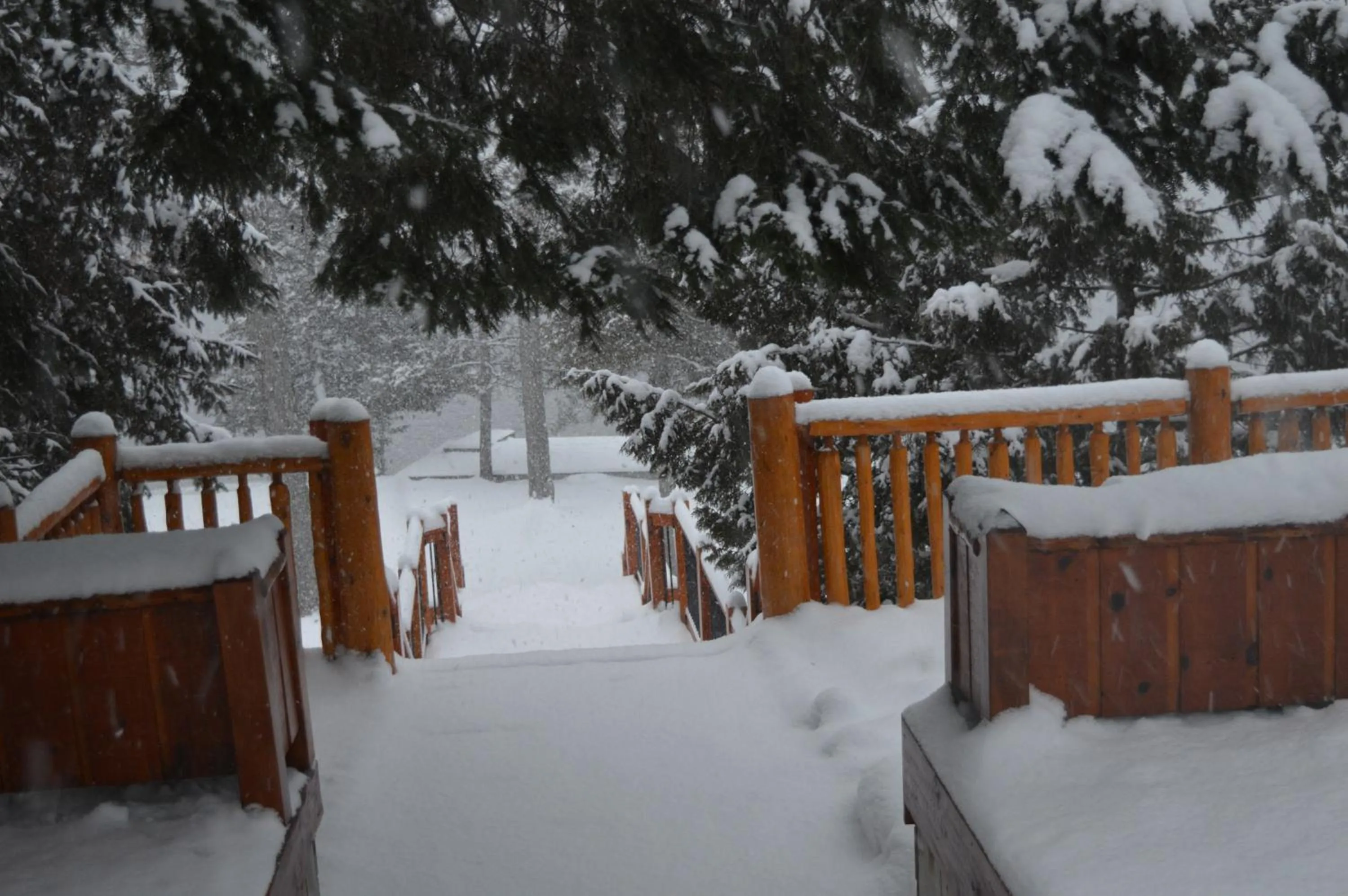 Day in Heather Lodge