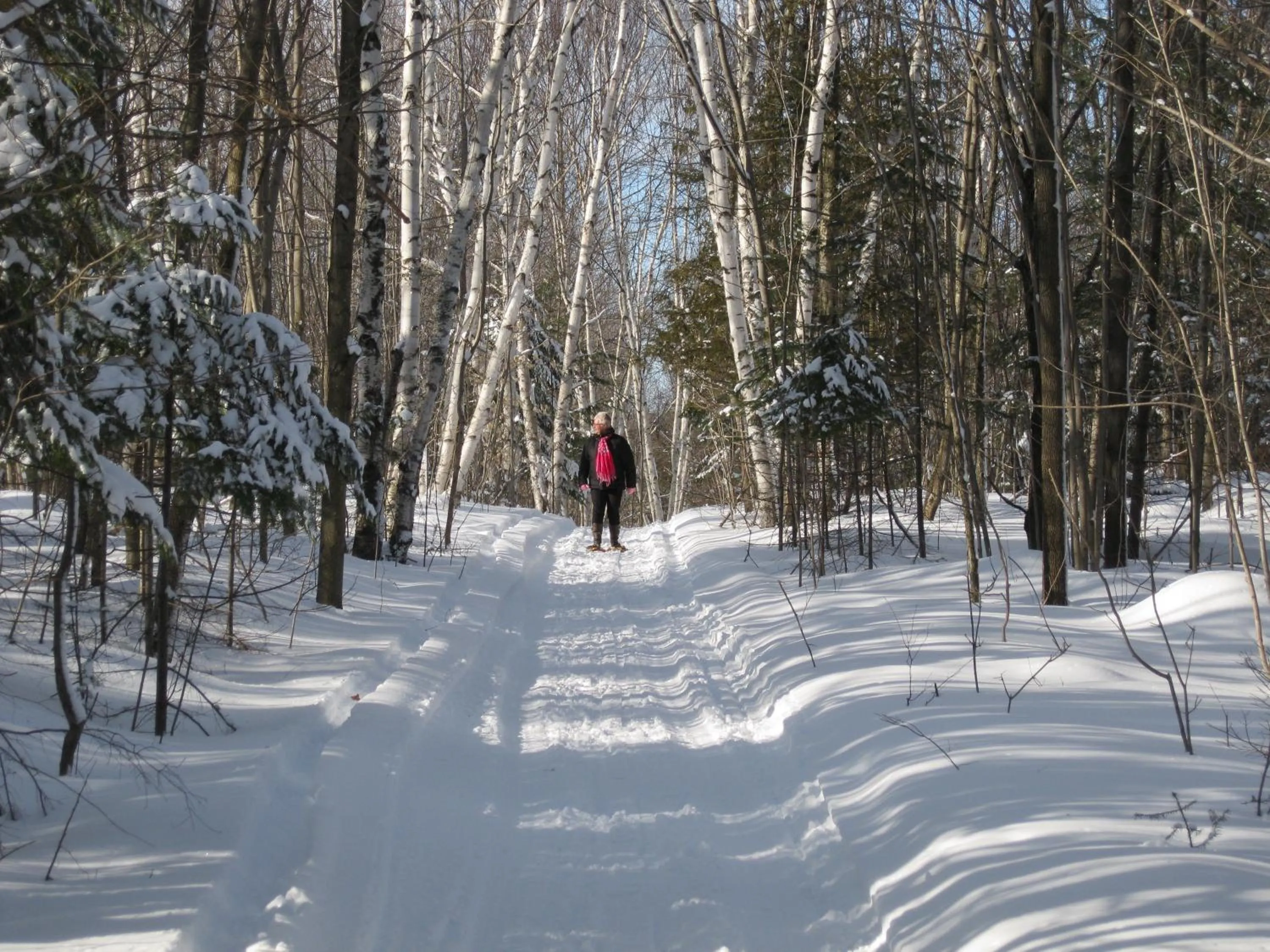Day in Heather Lodge