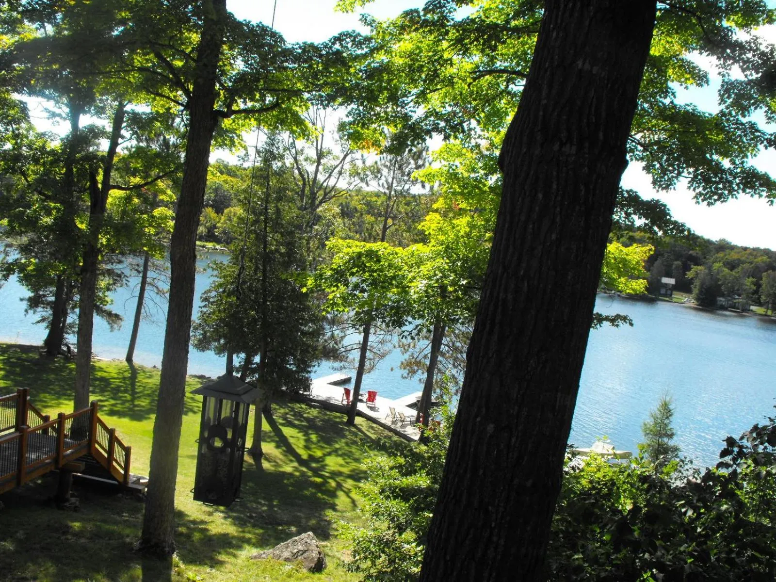 Natural landscape in Heather Lodge