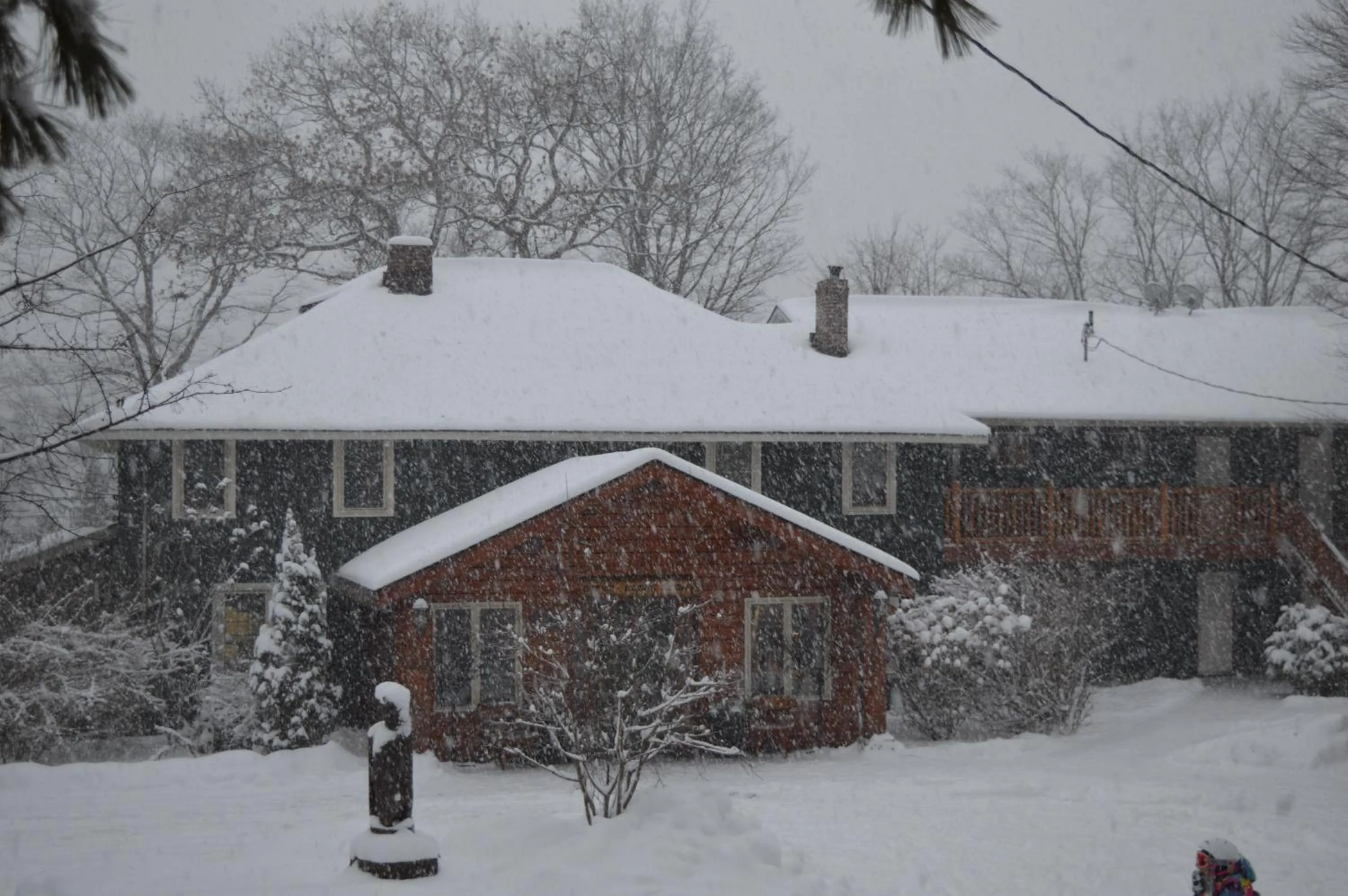 Property building in Heather Lodge