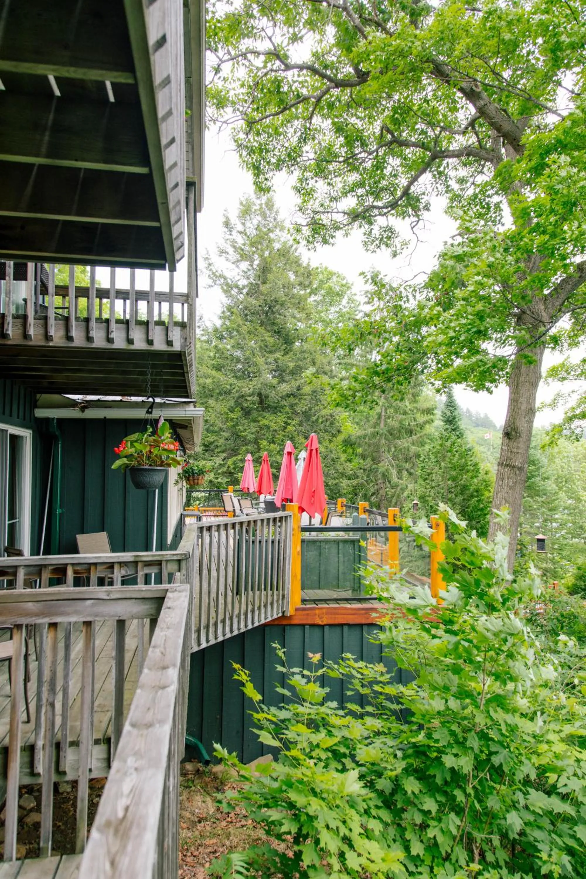 Summer in Heather Lodge