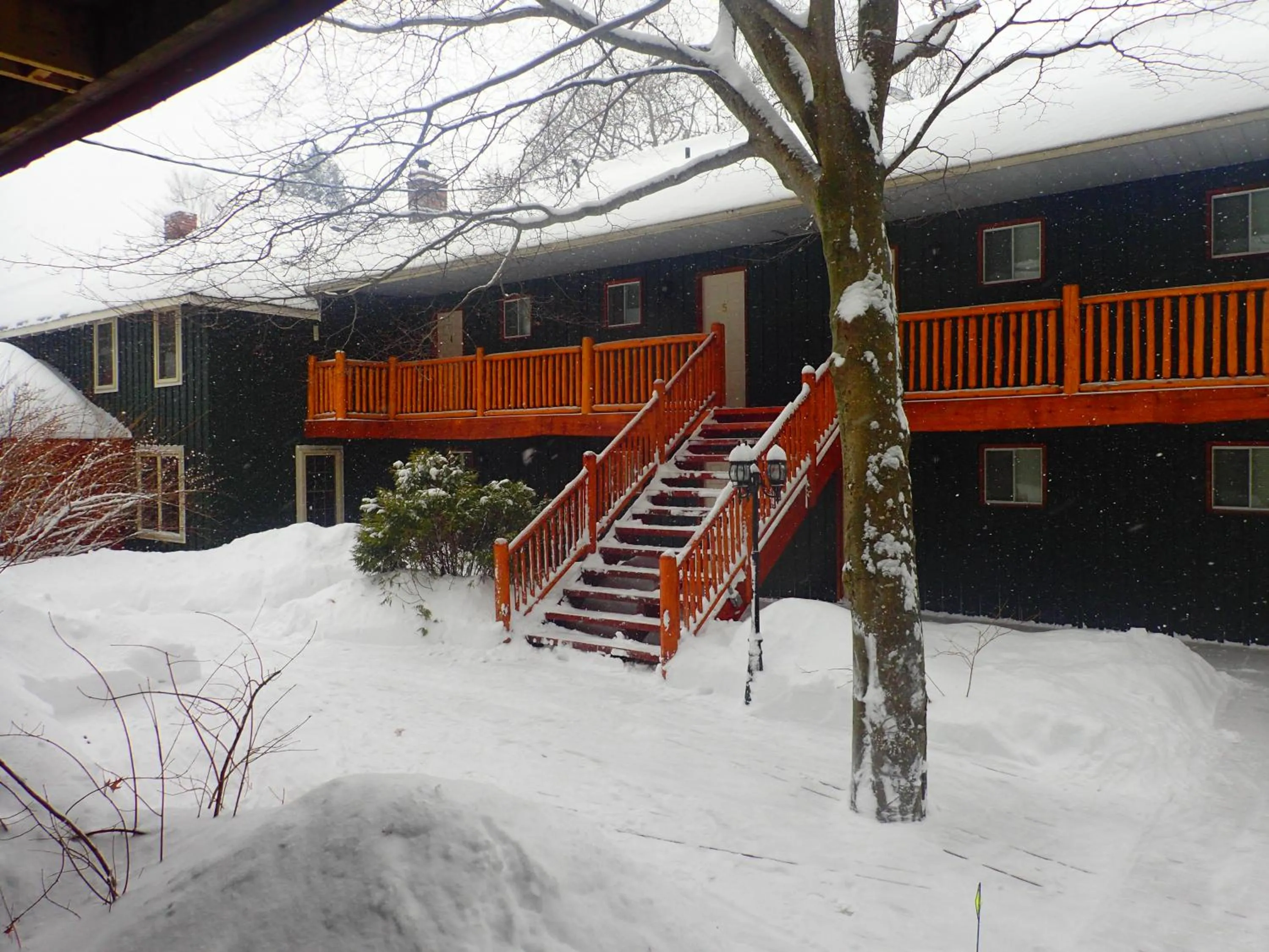 Property building in Heather Lodge