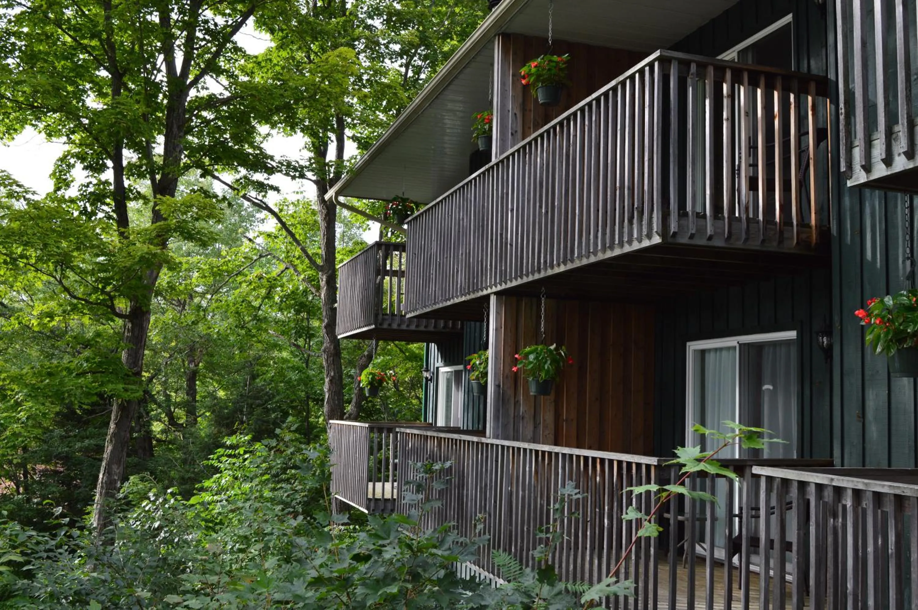 Property building in Heather Lodge