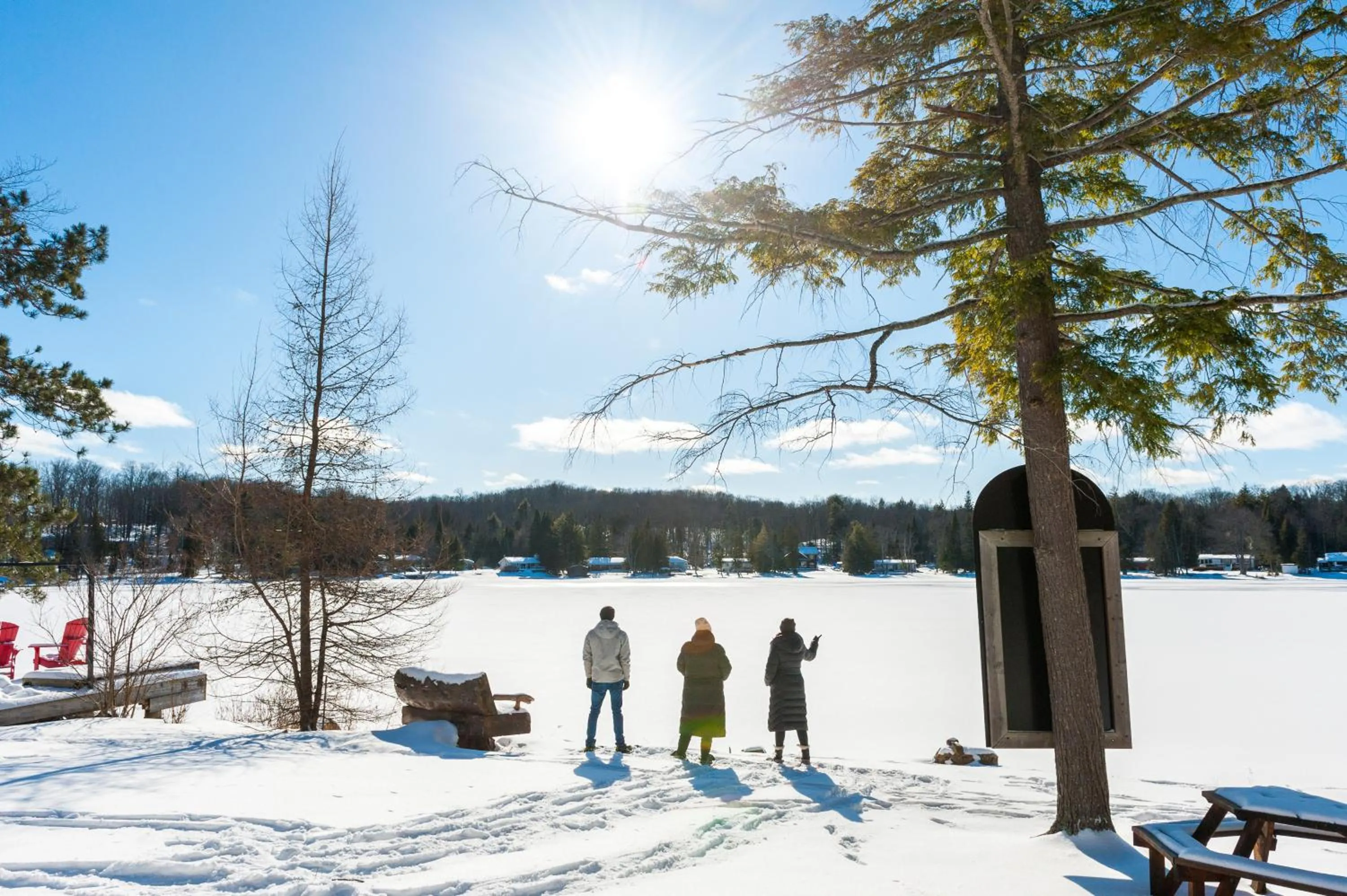 Activities in Heather Lodge