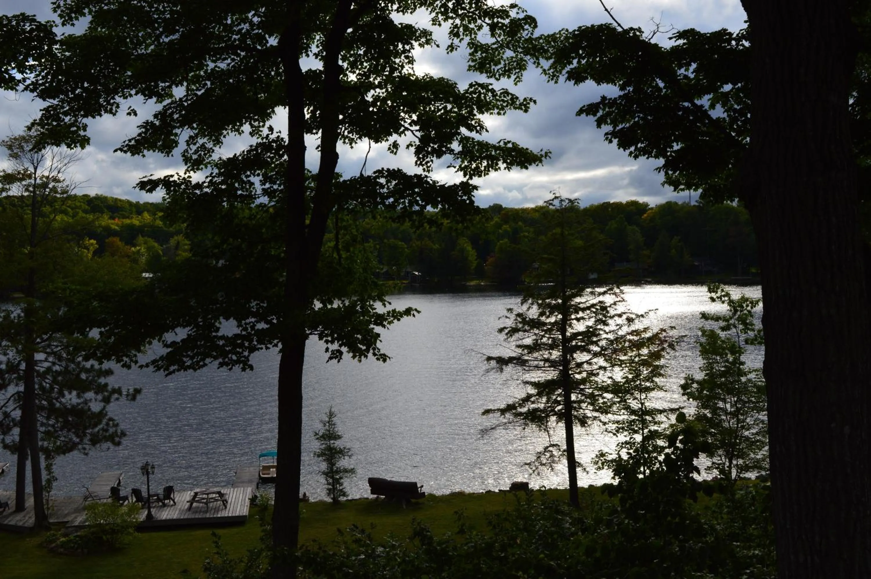 Day in Heather Lodge