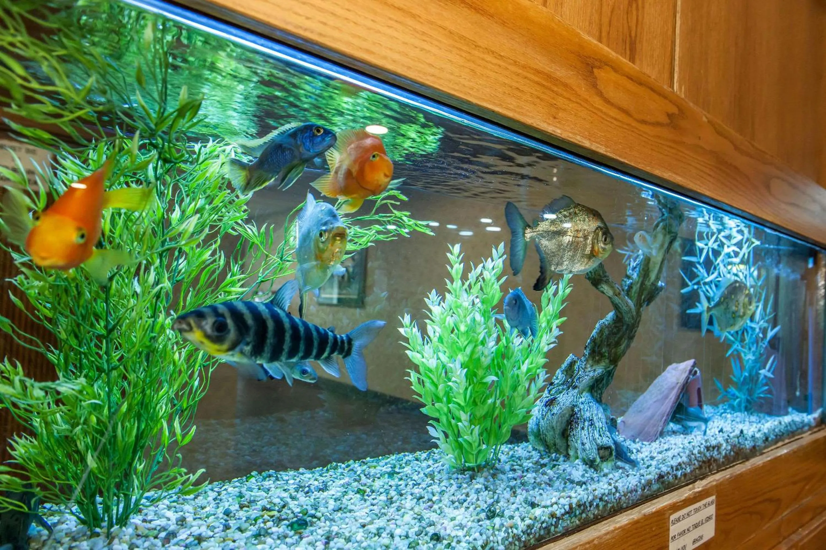 Lobby or reception in Quality Inn Conference Center Logansport