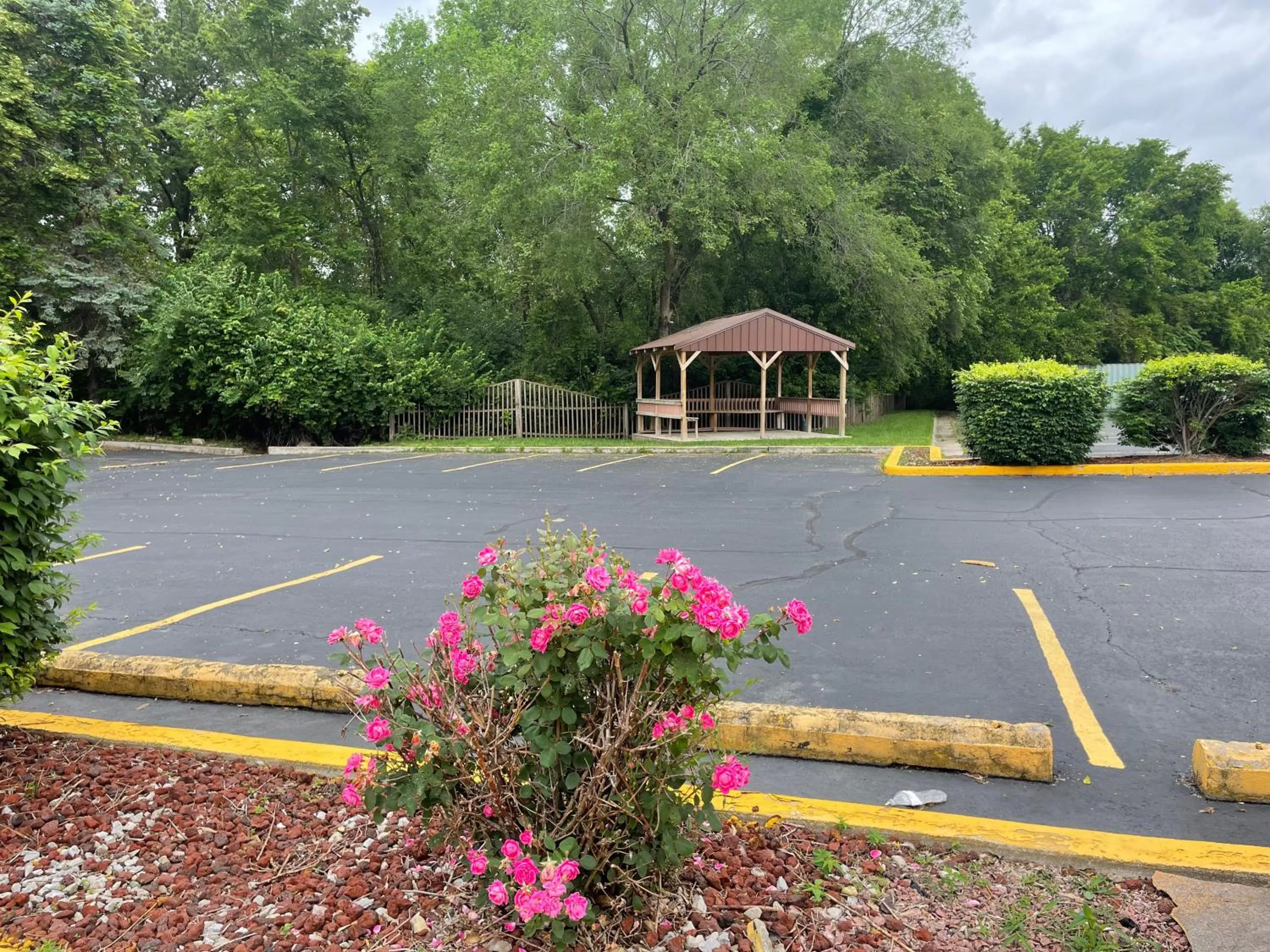Natural landscape in Quality Inn Conference Center Logansport