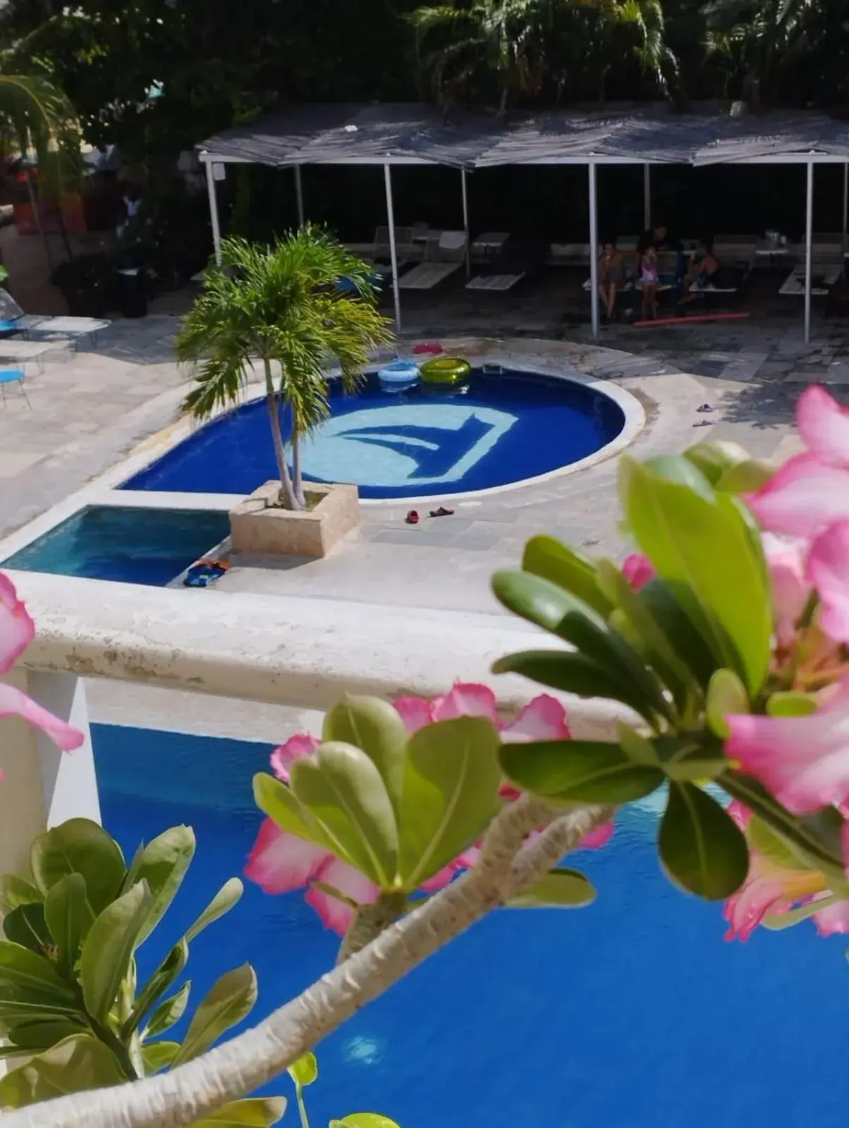 Pool view in Acamar Beach Resort Pool view in Acamar Beach Resort