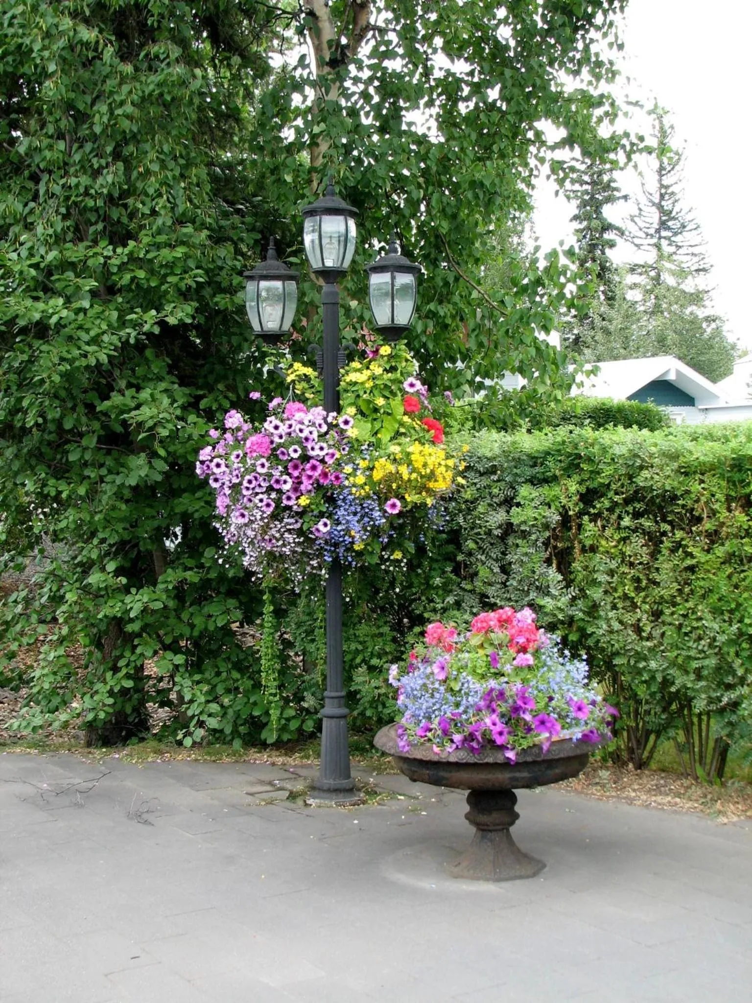 Garden in River's Edge Resort