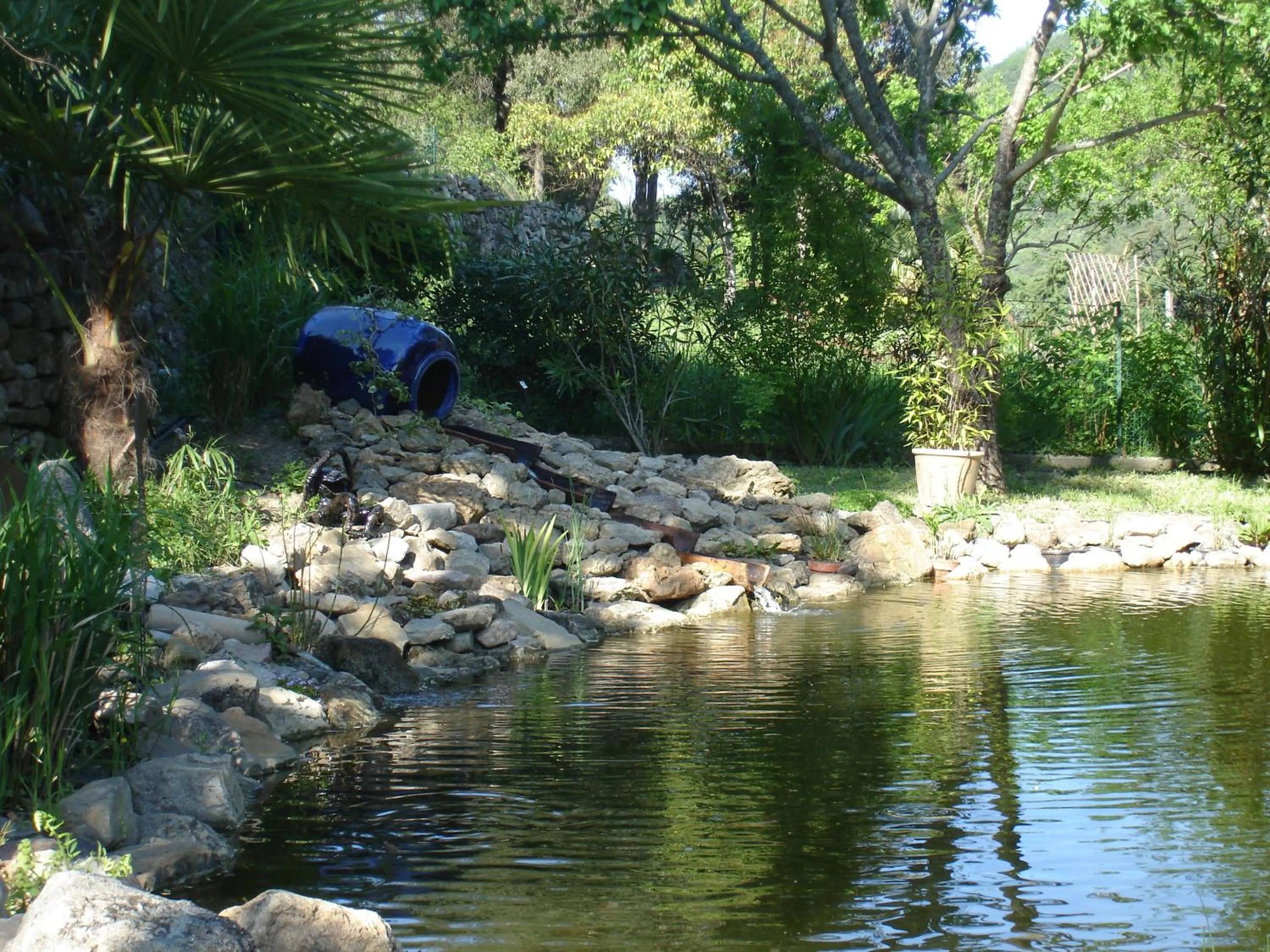 Garden in Le Mas des Sources