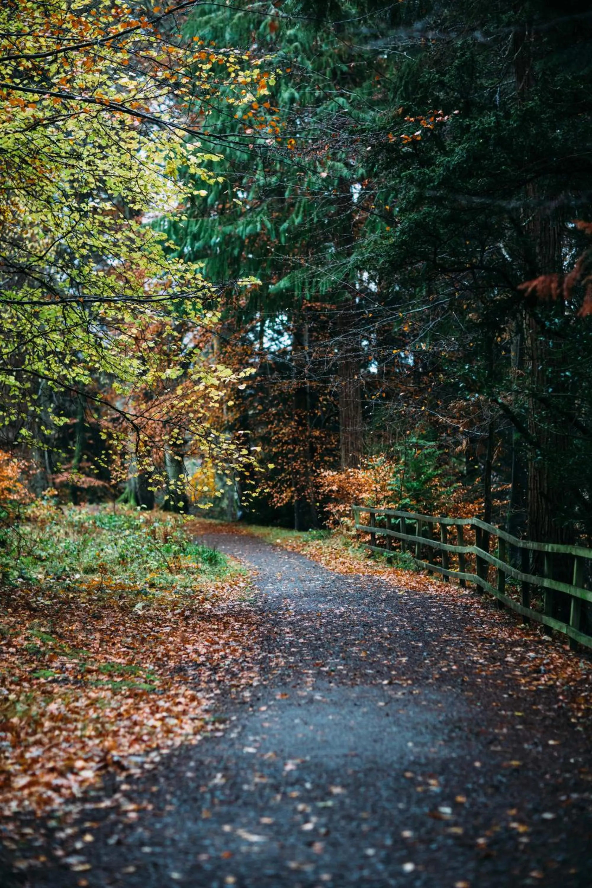 Natural landscape in Dunkeld House Hotel