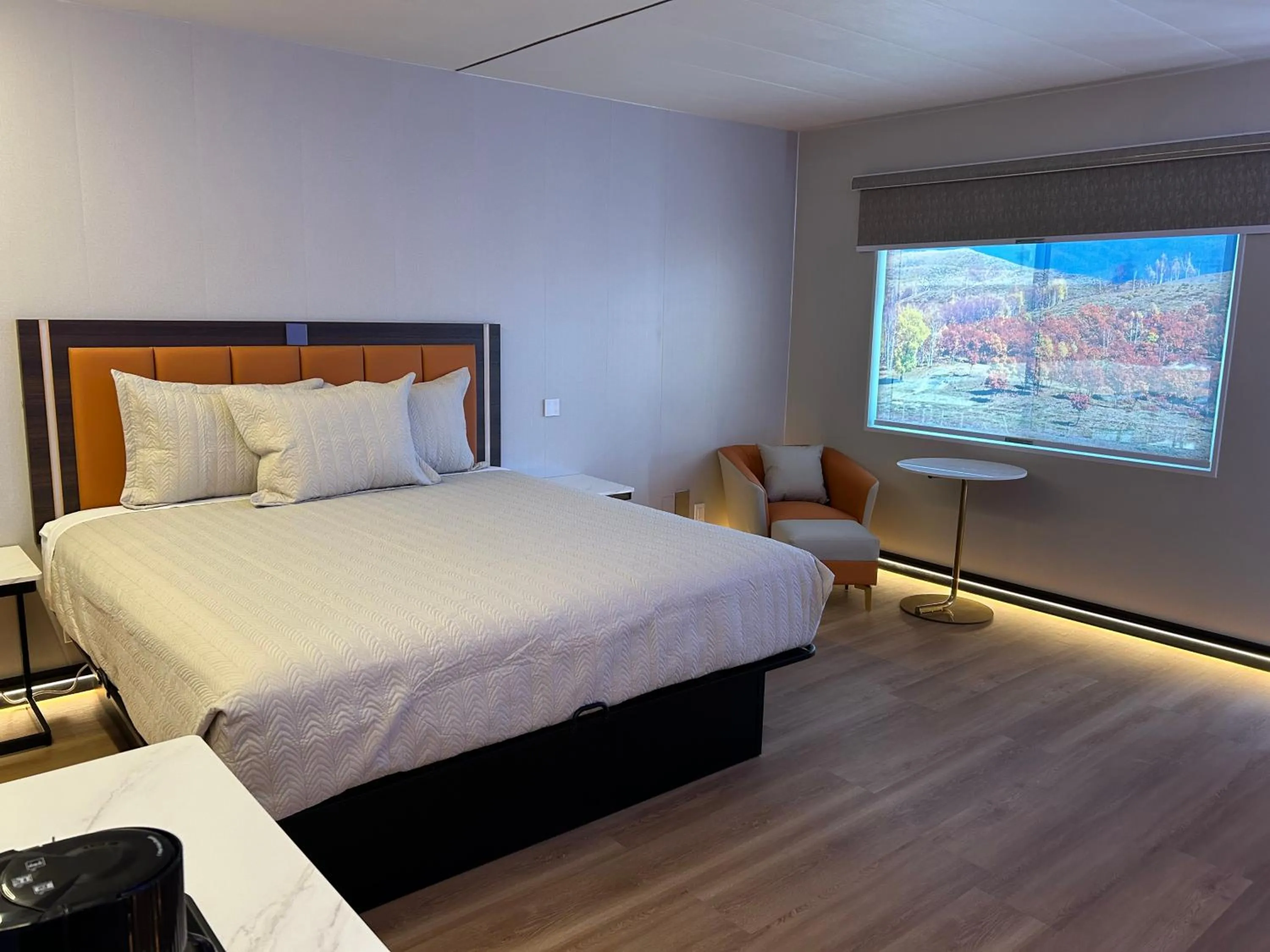 Bed in Mountain View Motel