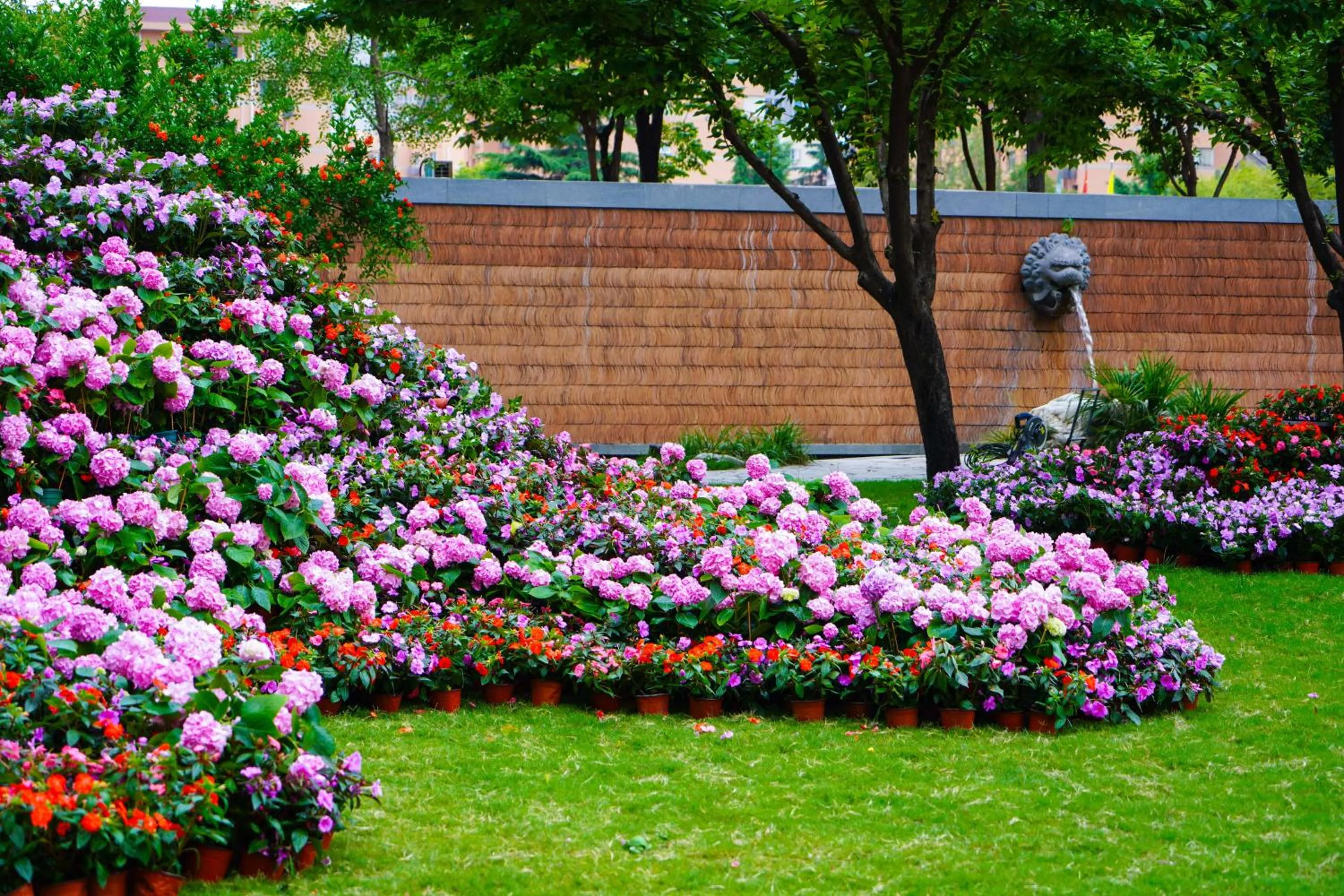 Garden in Shangri-La Xian