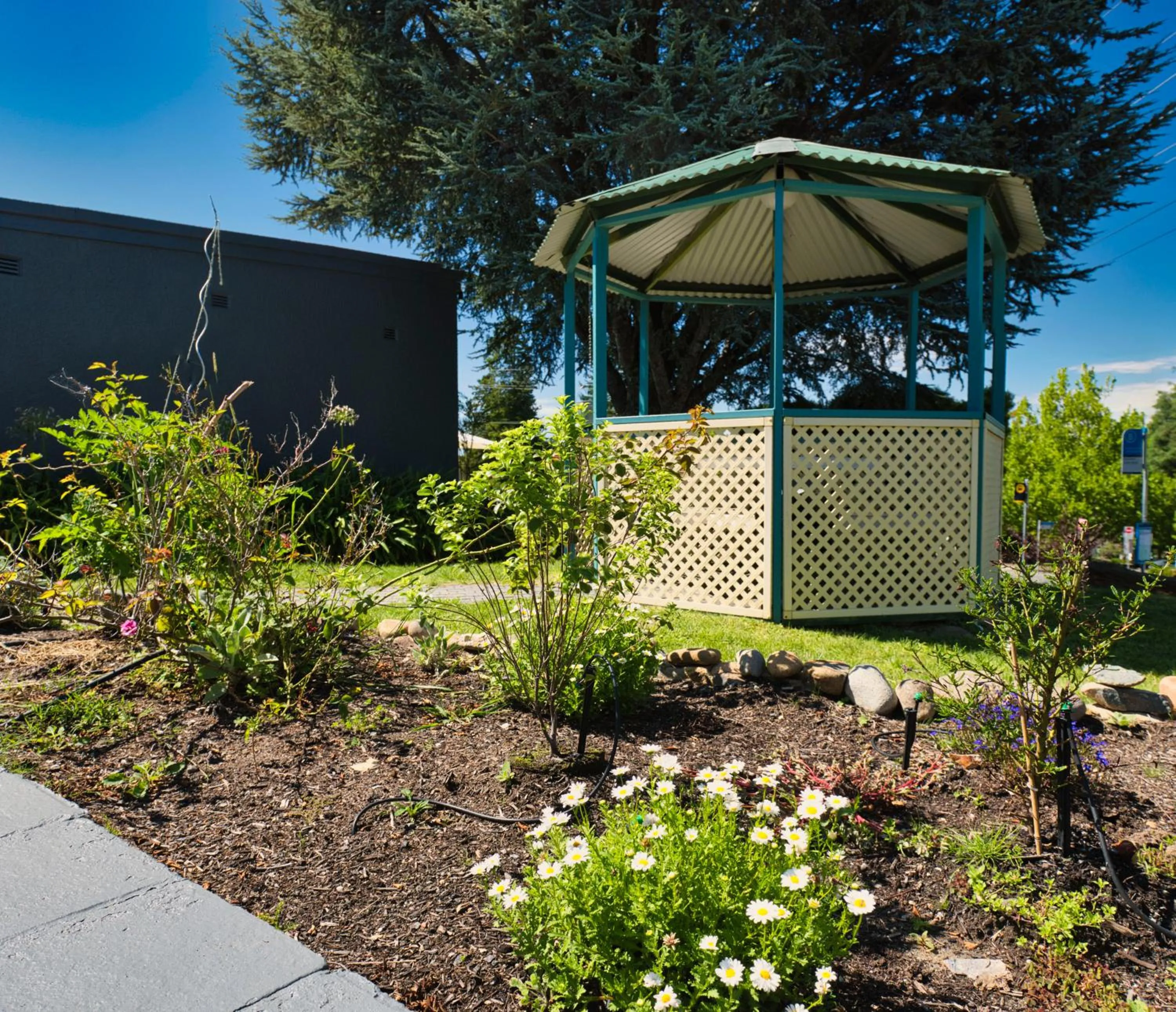 Garden in Motel Echo Point