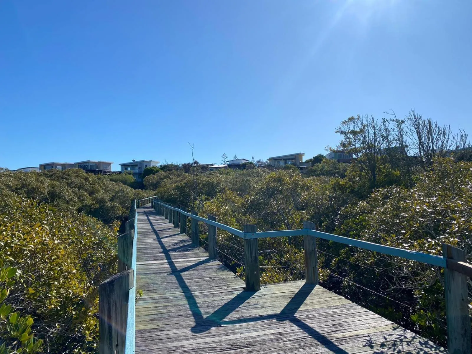 Garden in The Sebel Twin Waters