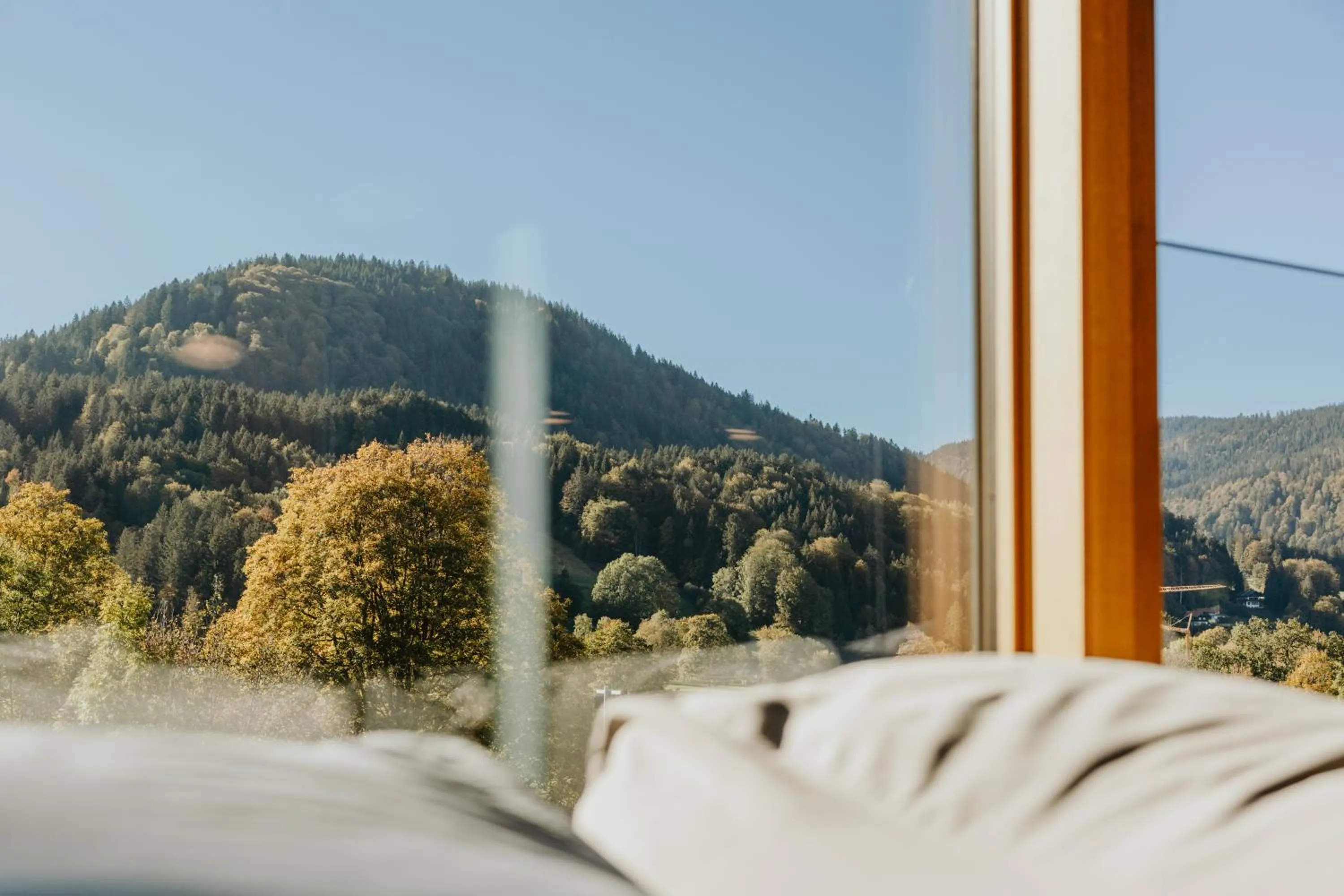 Mountain view in Hotel Bussi Baby