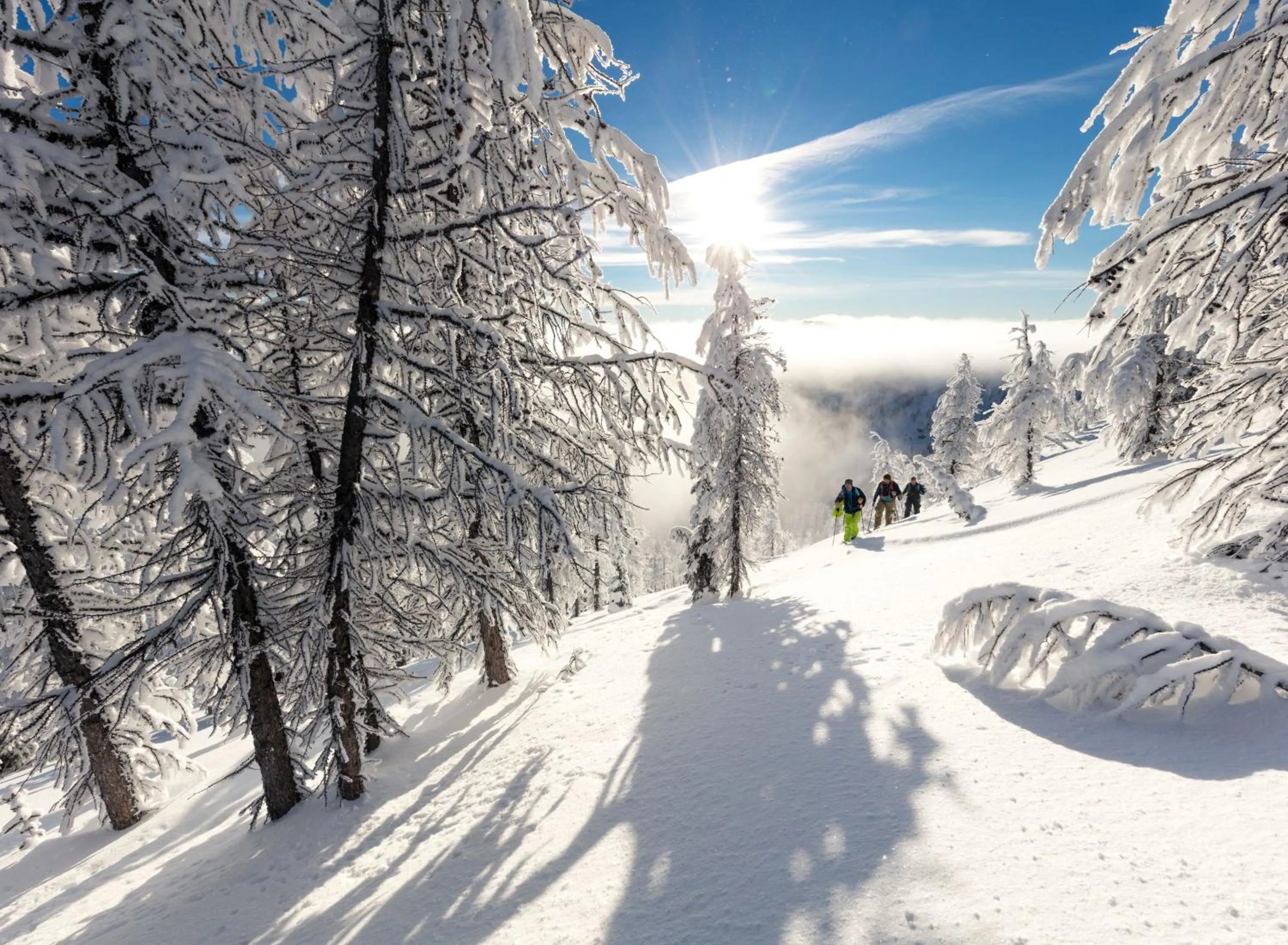 Activities in Hotel Bussi Baby