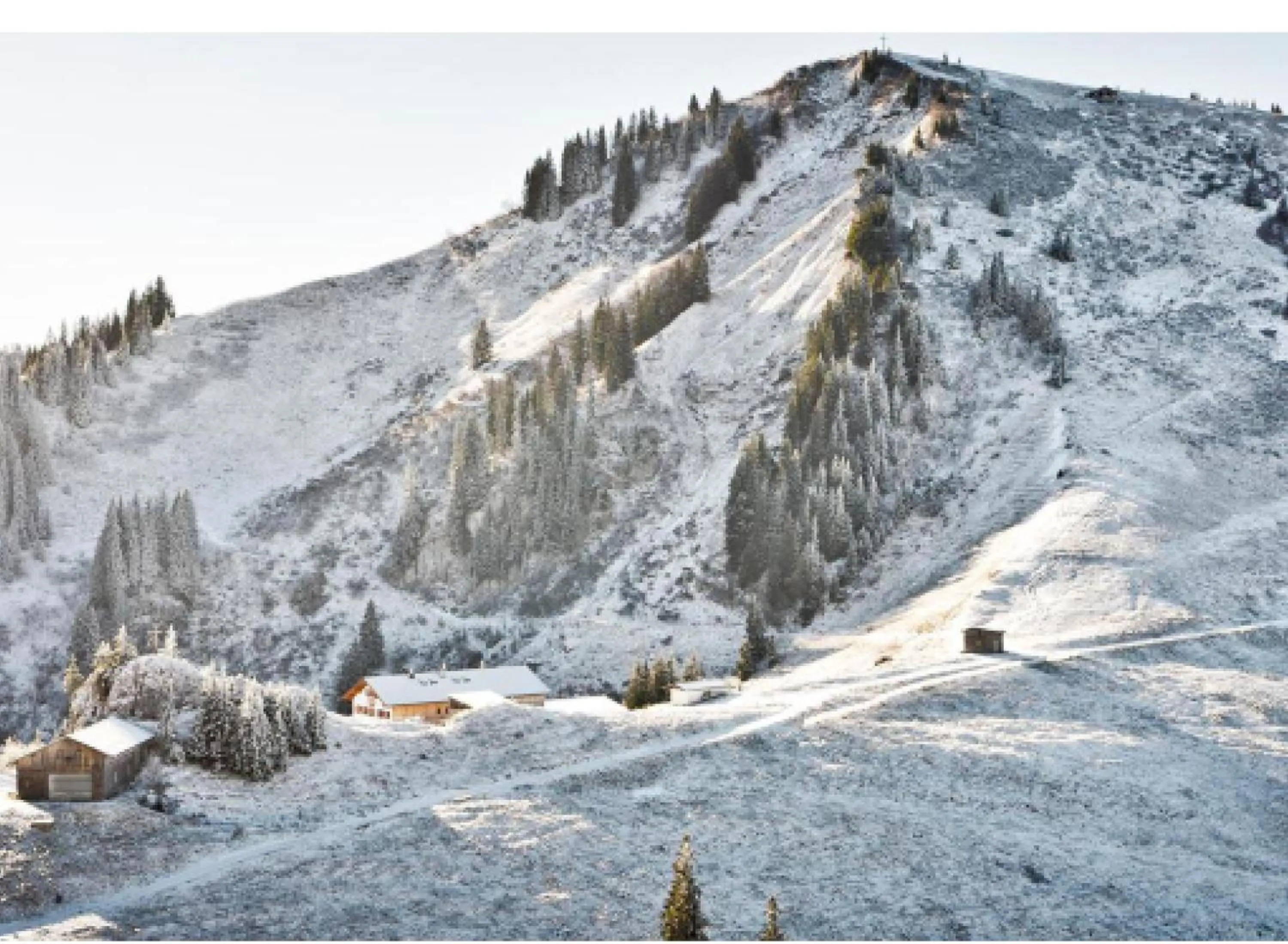 Natural landscape in Hotel Bussi Baby