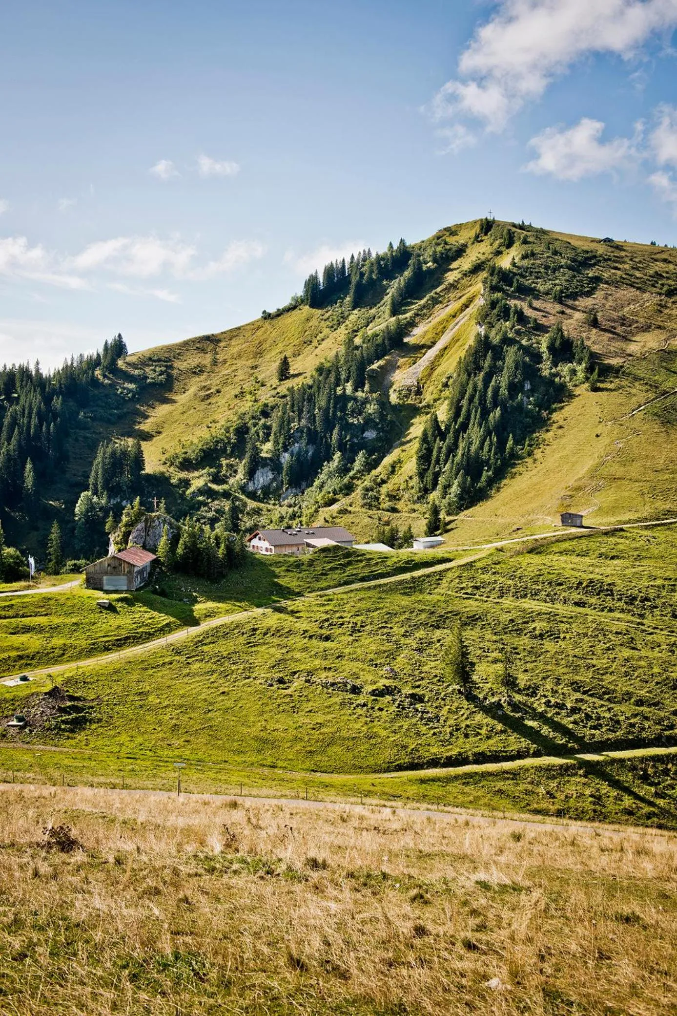 Activities in Hotel Bussi Baby