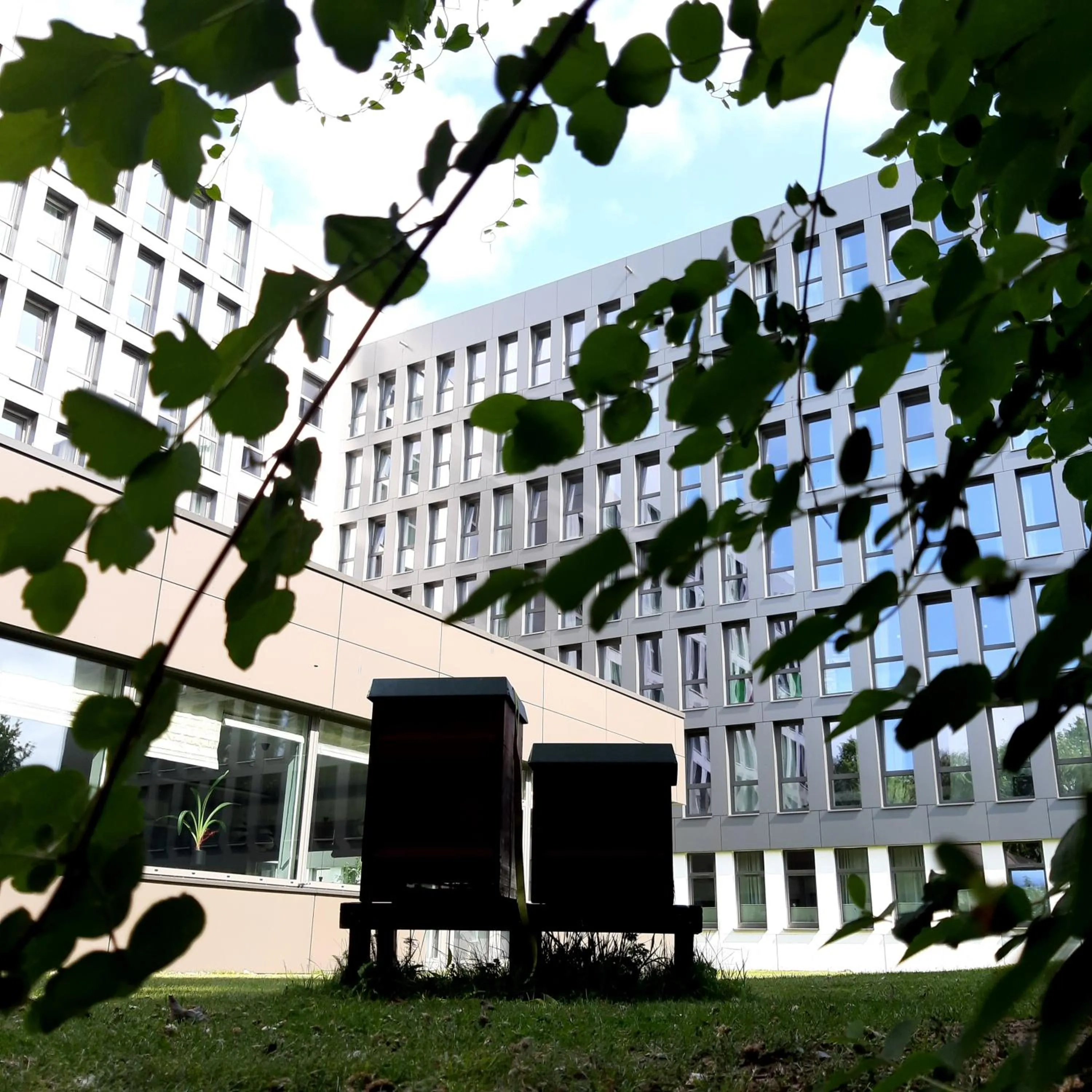 Property building in sylc. Apartmenthotel – Serviced Apartments