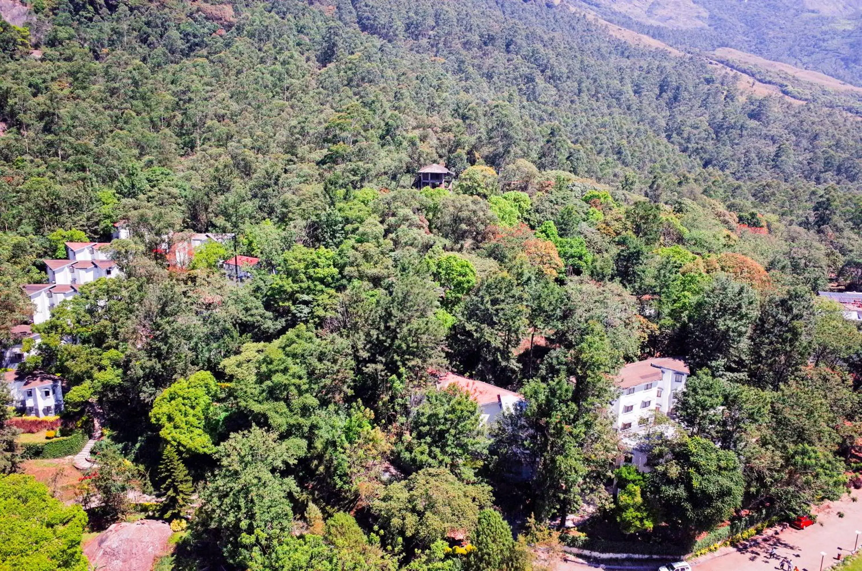 Bird's eye view in Sterling Munnar Bird's eye view in Sterling Munnar